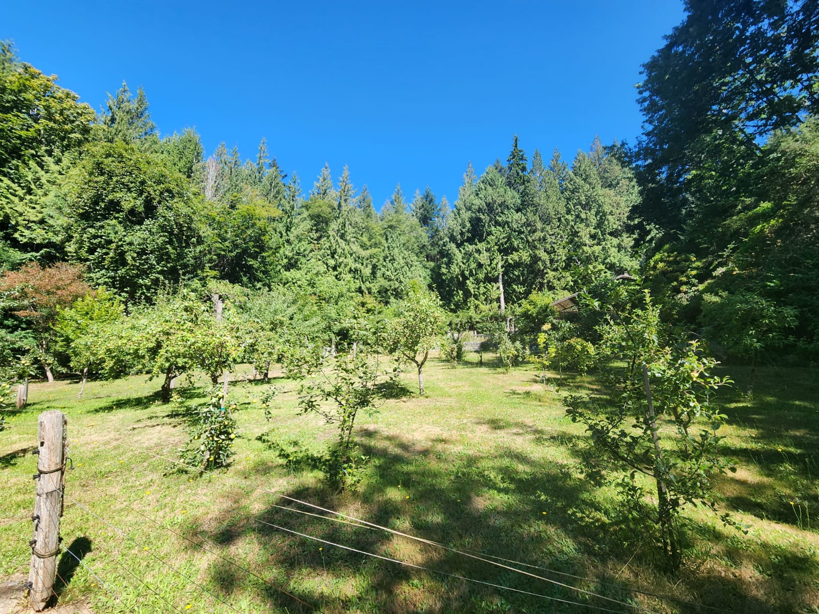 Coastal Orchard Farm Stay