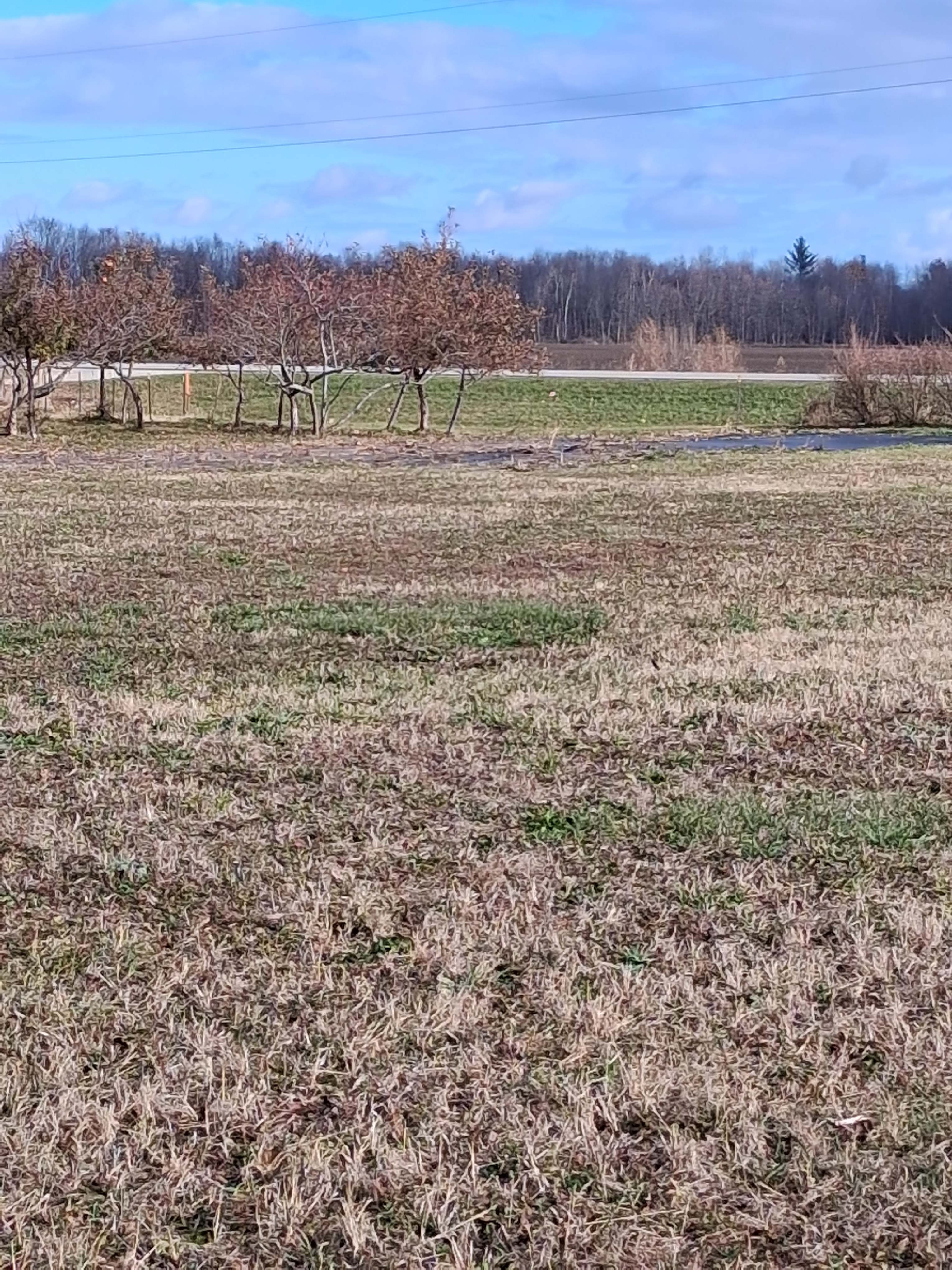 The Center of Michigan's Thumb