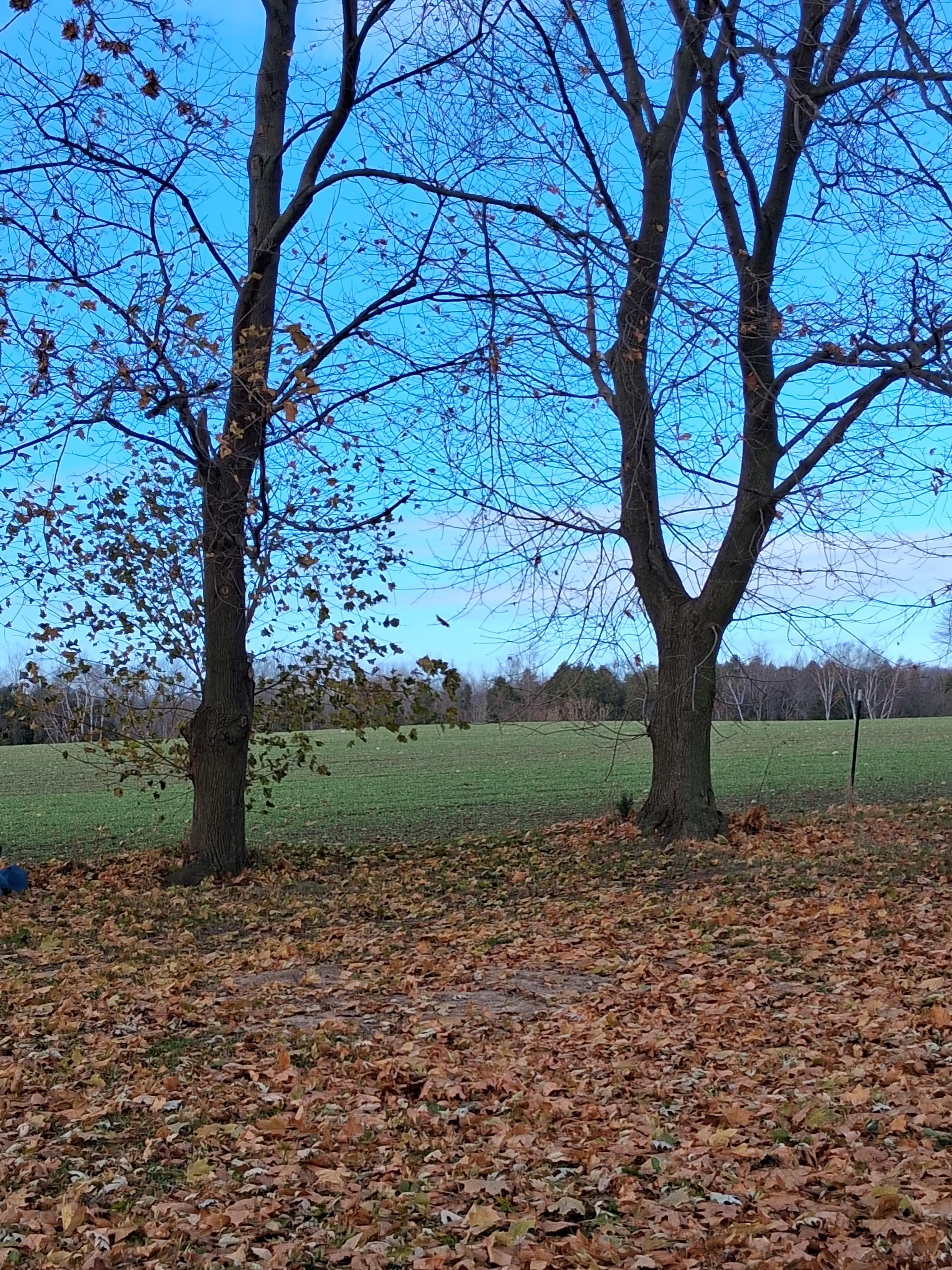 The Center of Michigan's Thumb