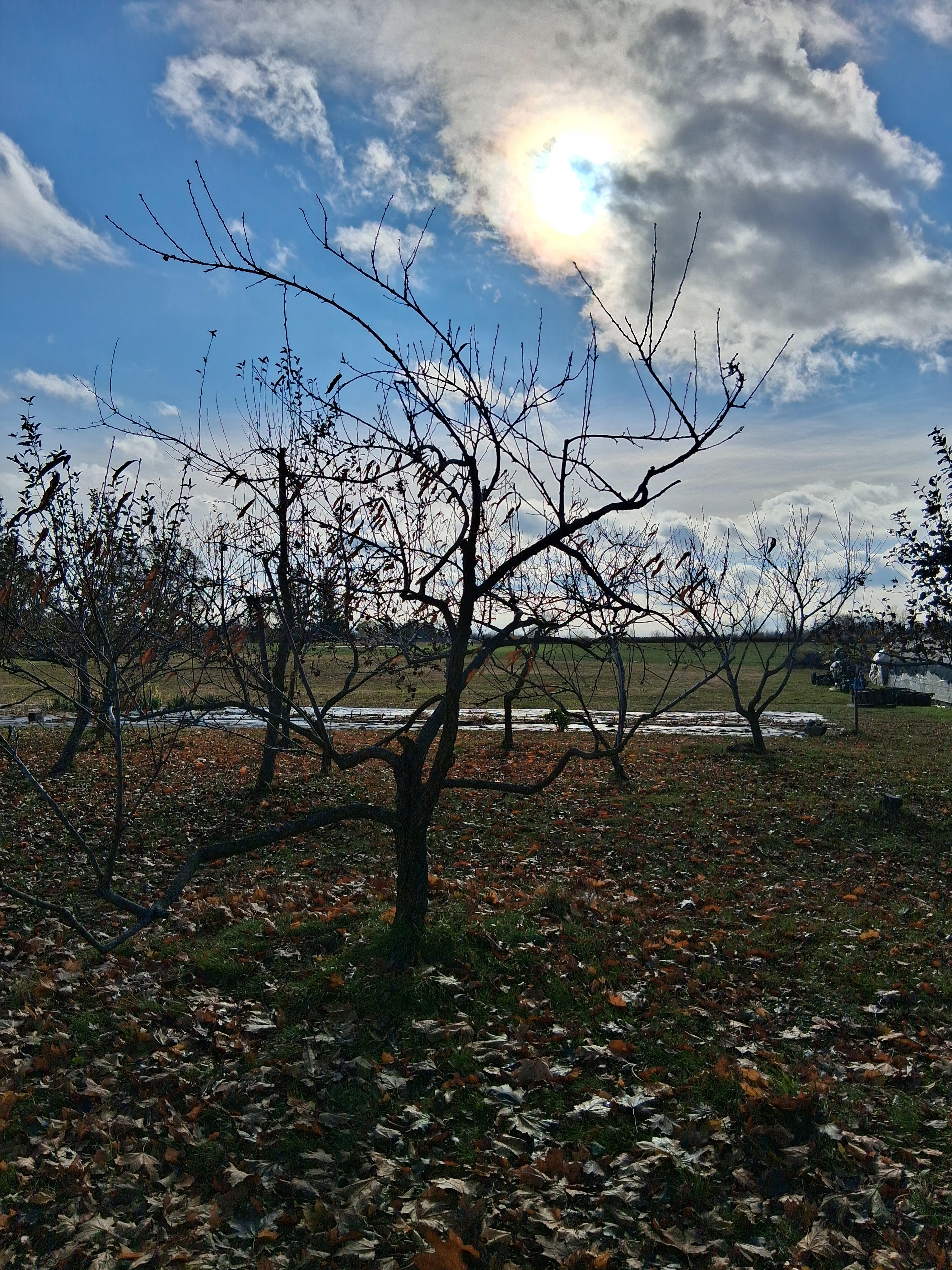The Center of Michigan's Thumb