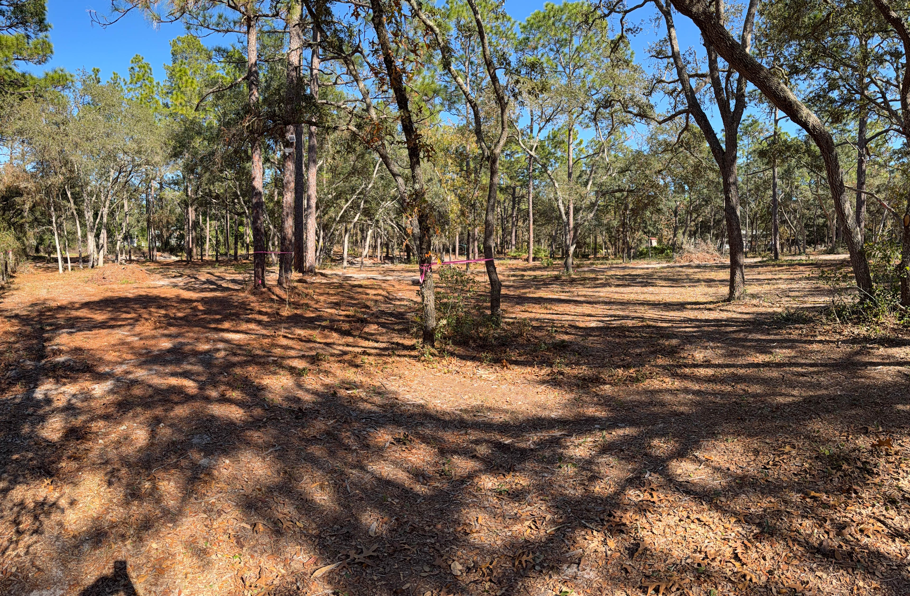 Restoration Ranch, Tents And Trucks