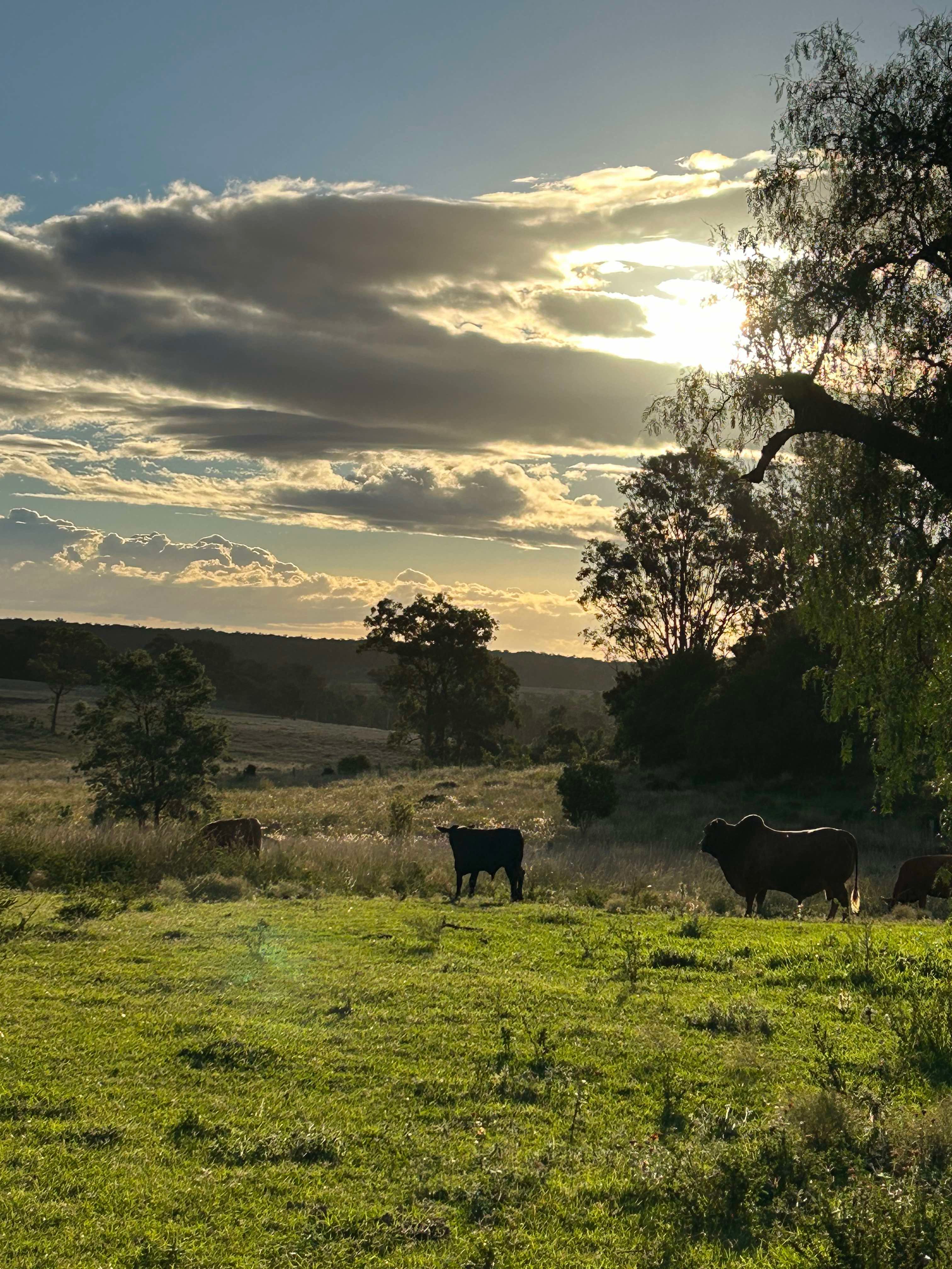 Hillview Darling Downs