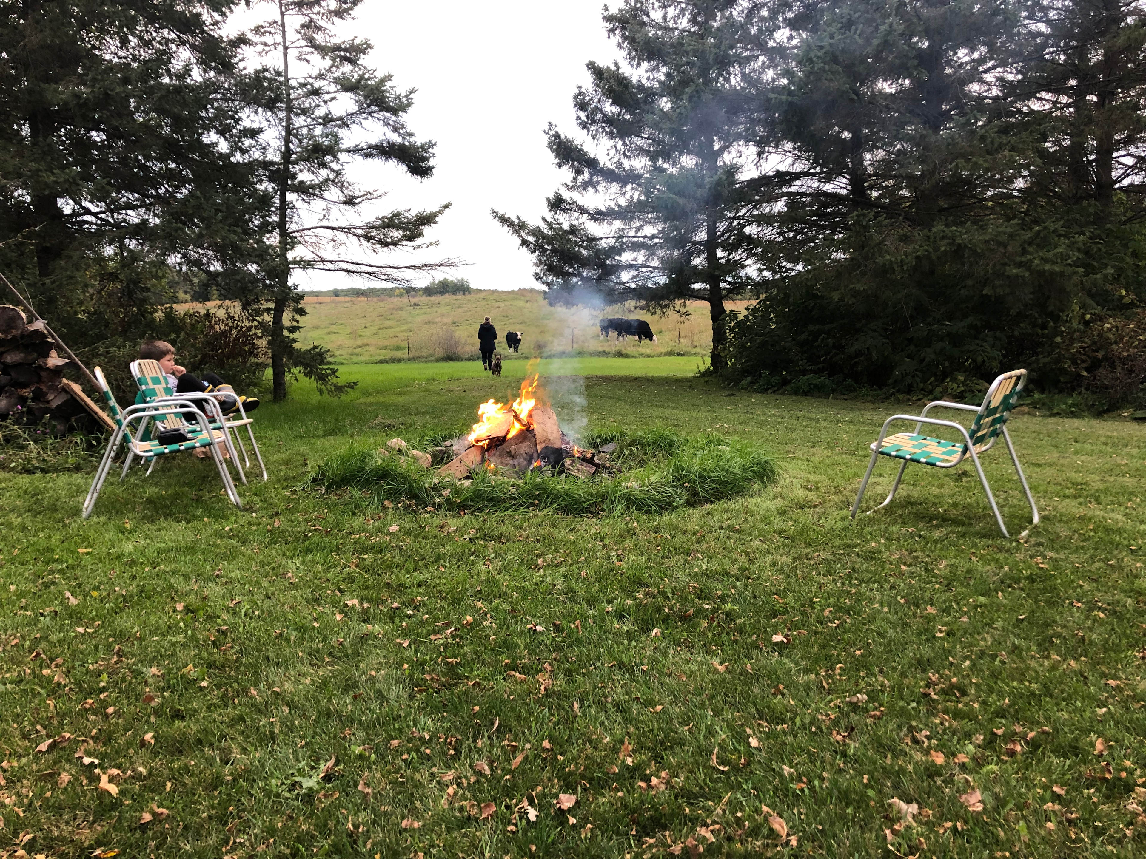Toad Creek Camping & Hobby Farm