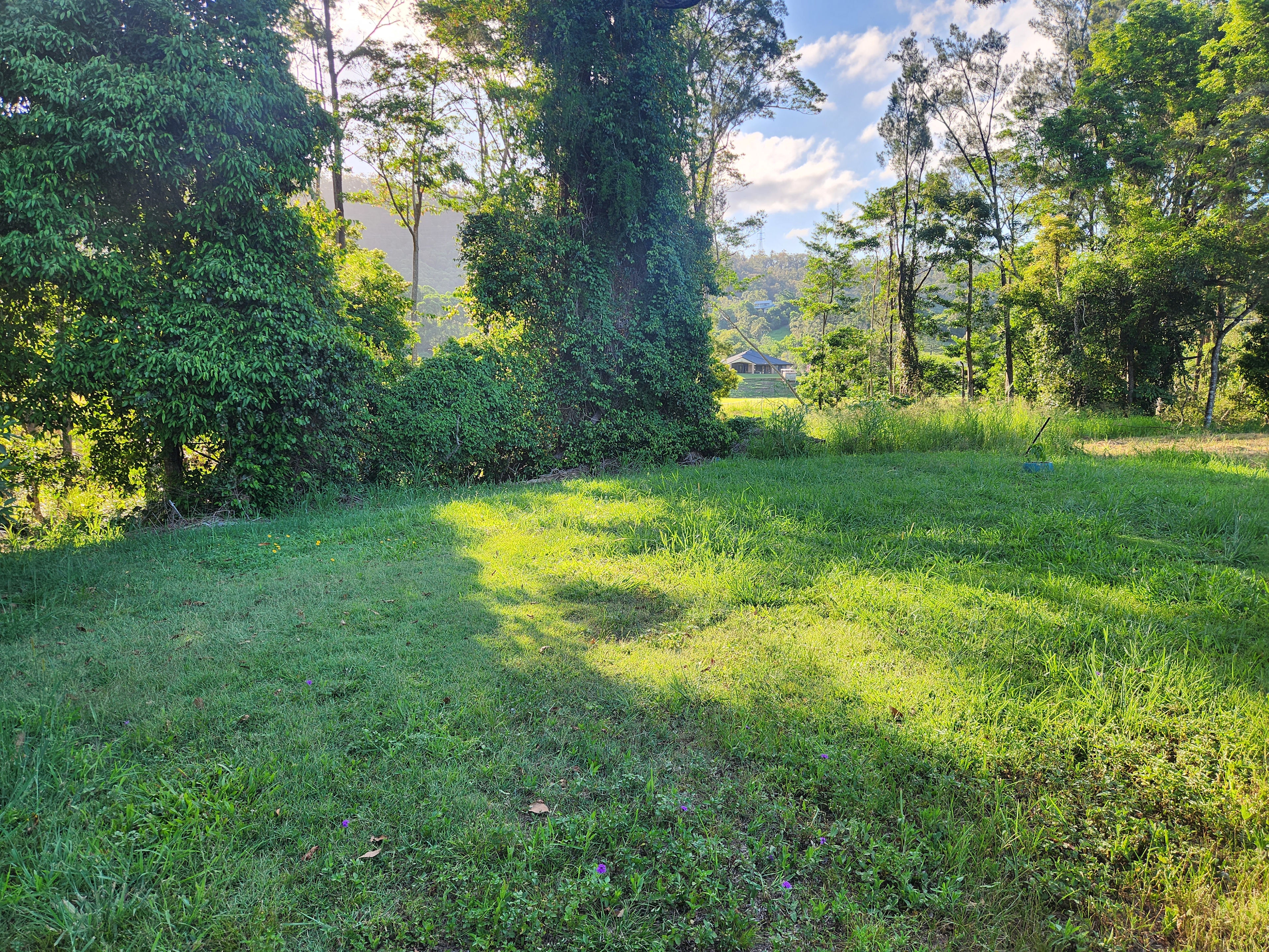 Wongawallan Creek Estate