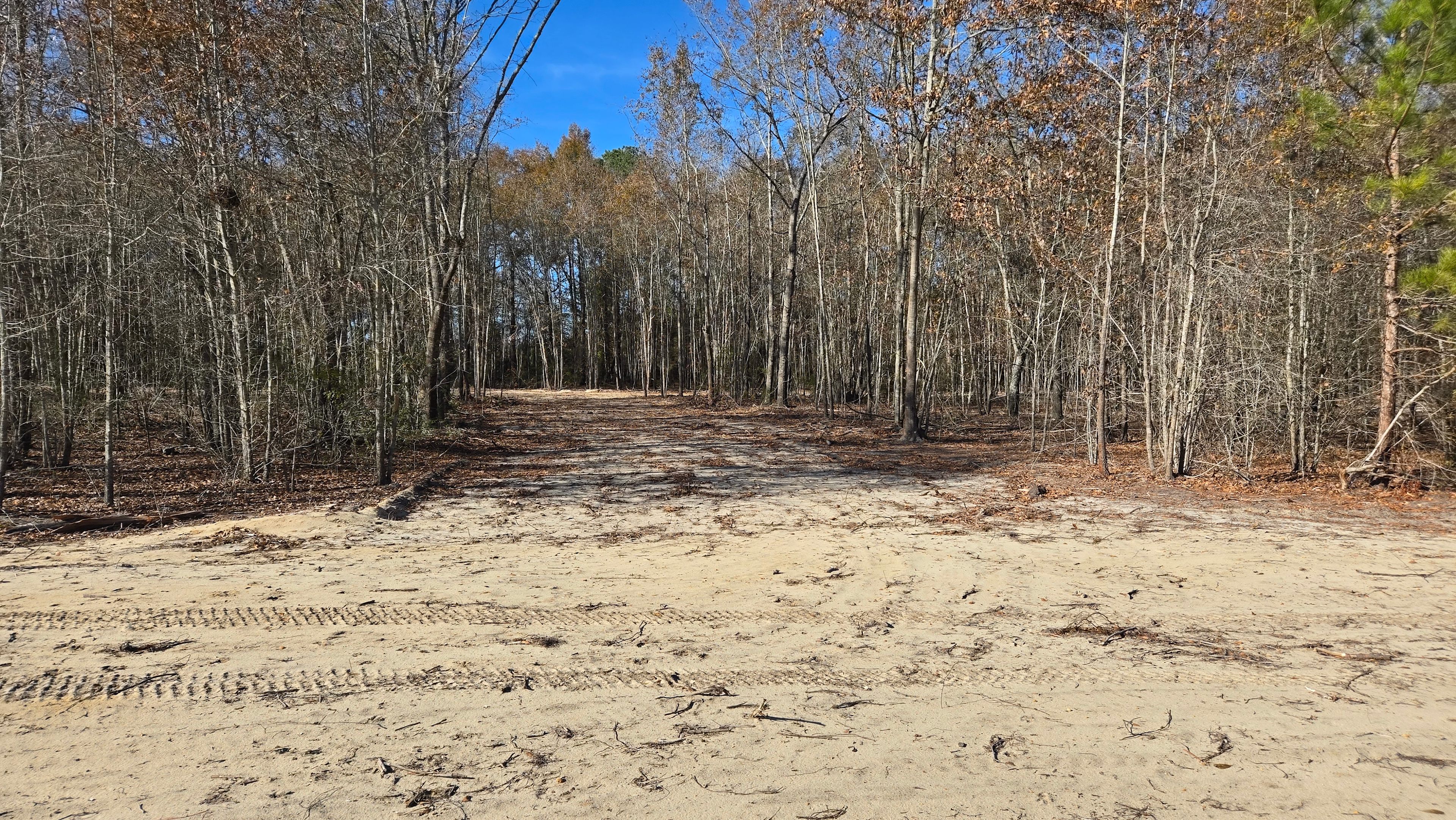 The Boondocks, 1 Mile From i95