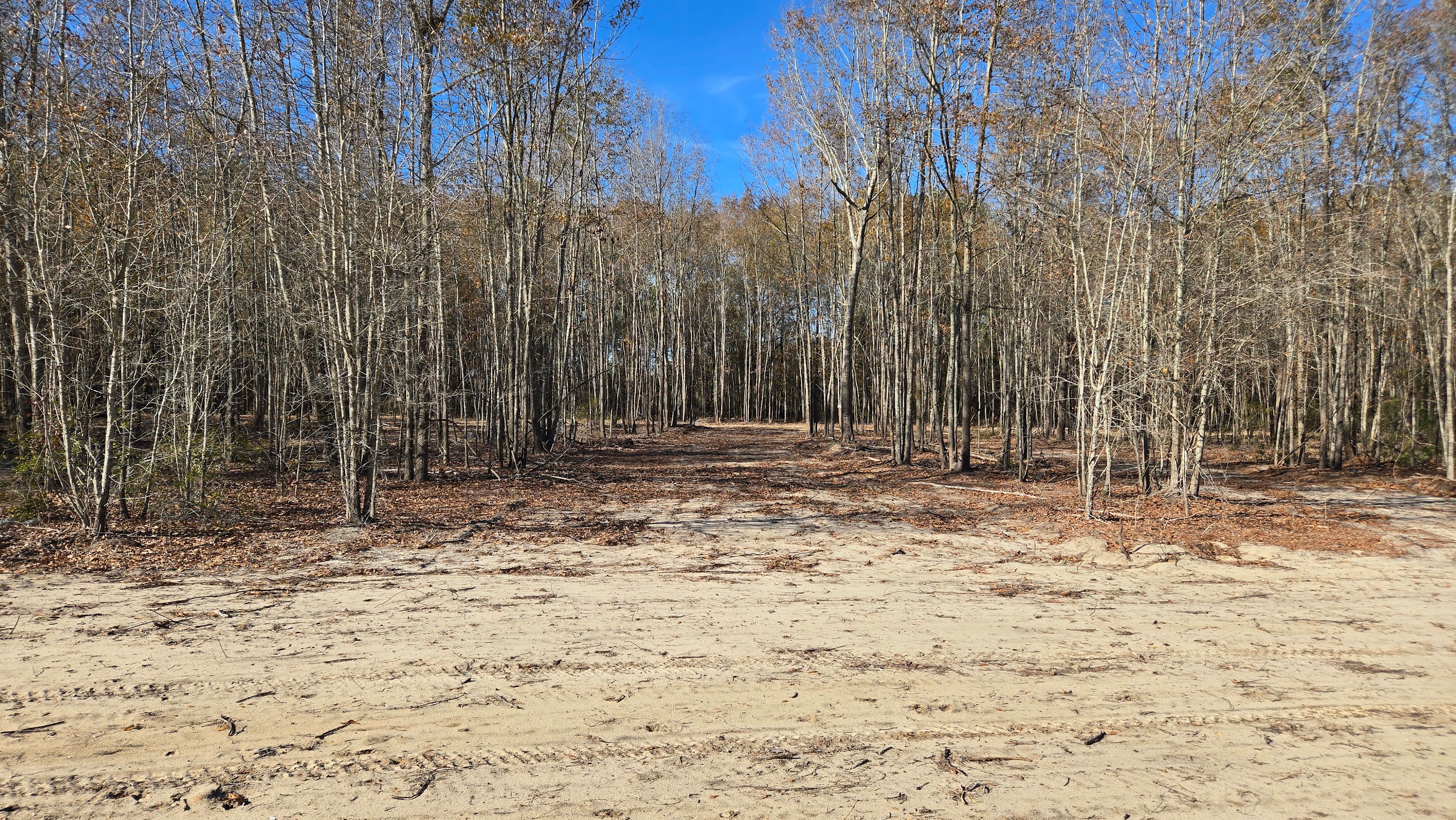 The Boondocks, 1 Mile From i95