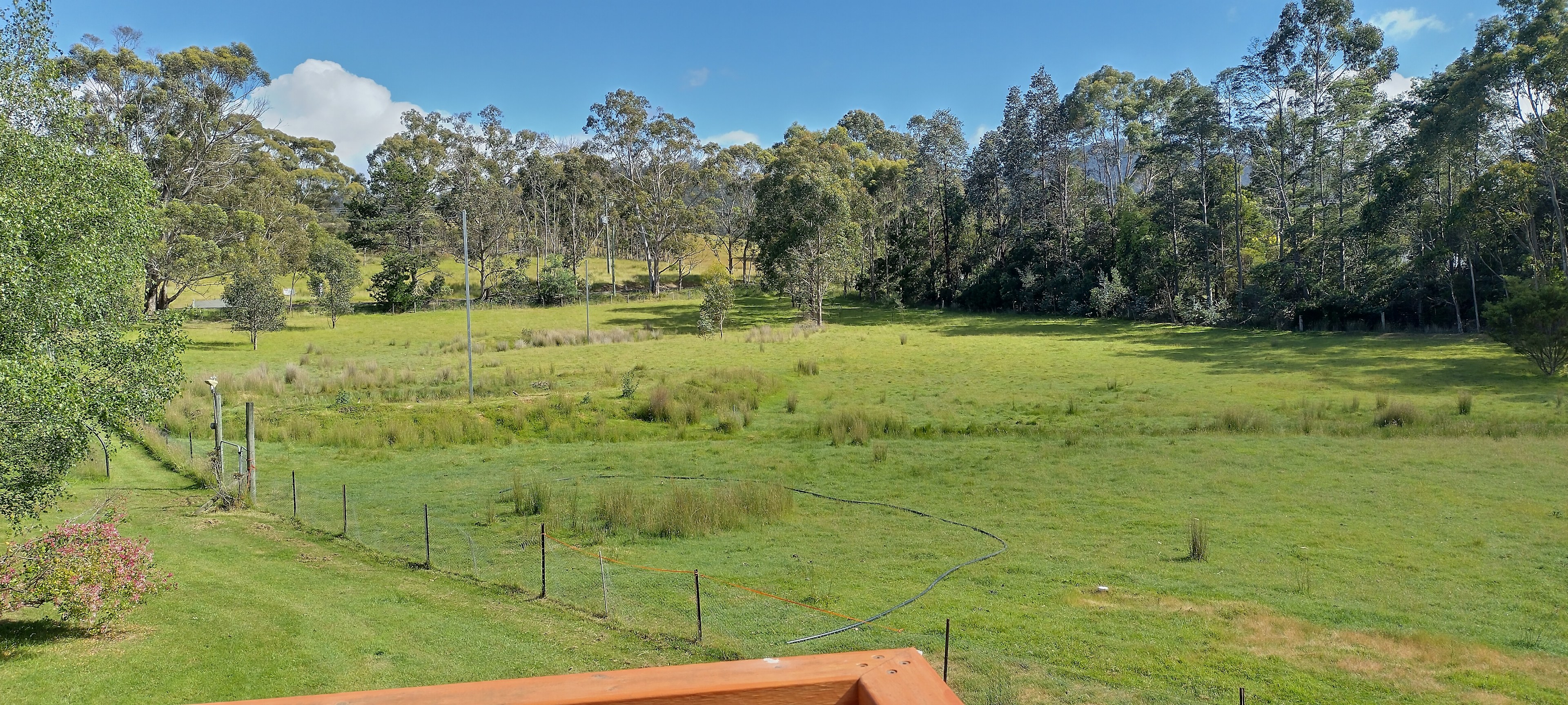 Haskaps Of TAS Camping