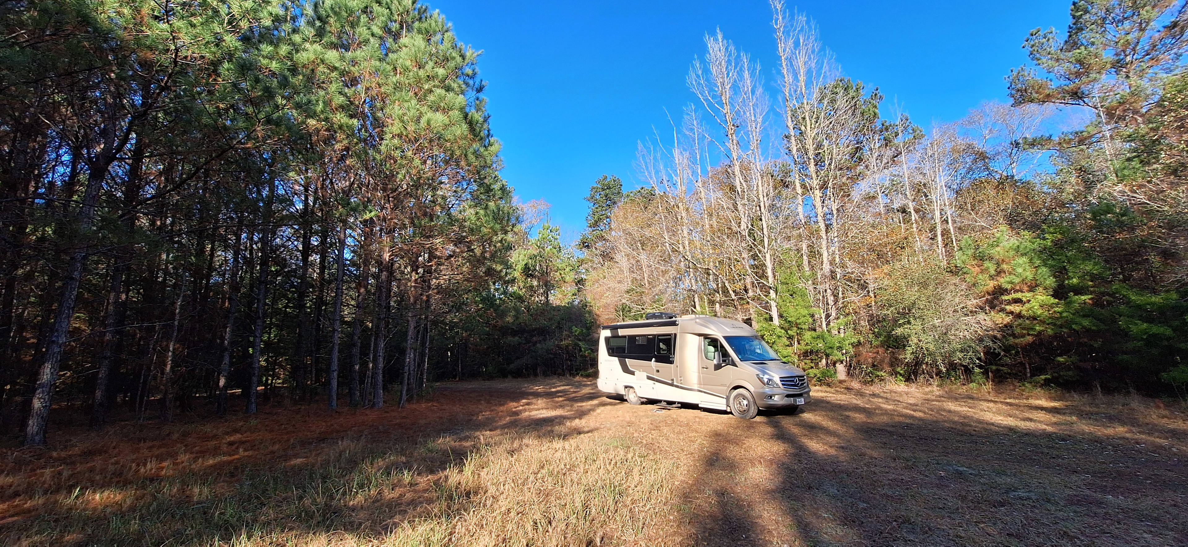 River Life Camping in Alabama