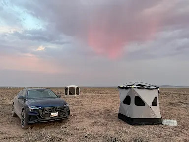 Paradise of the Petrified Forest
