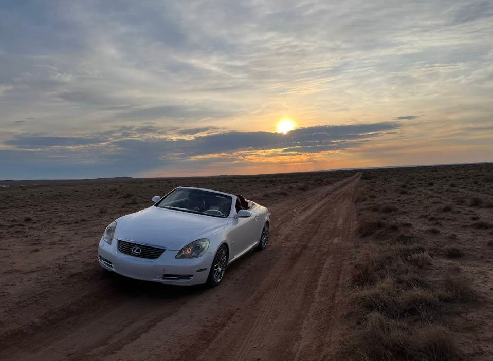 Paradise of the Petrified Forest