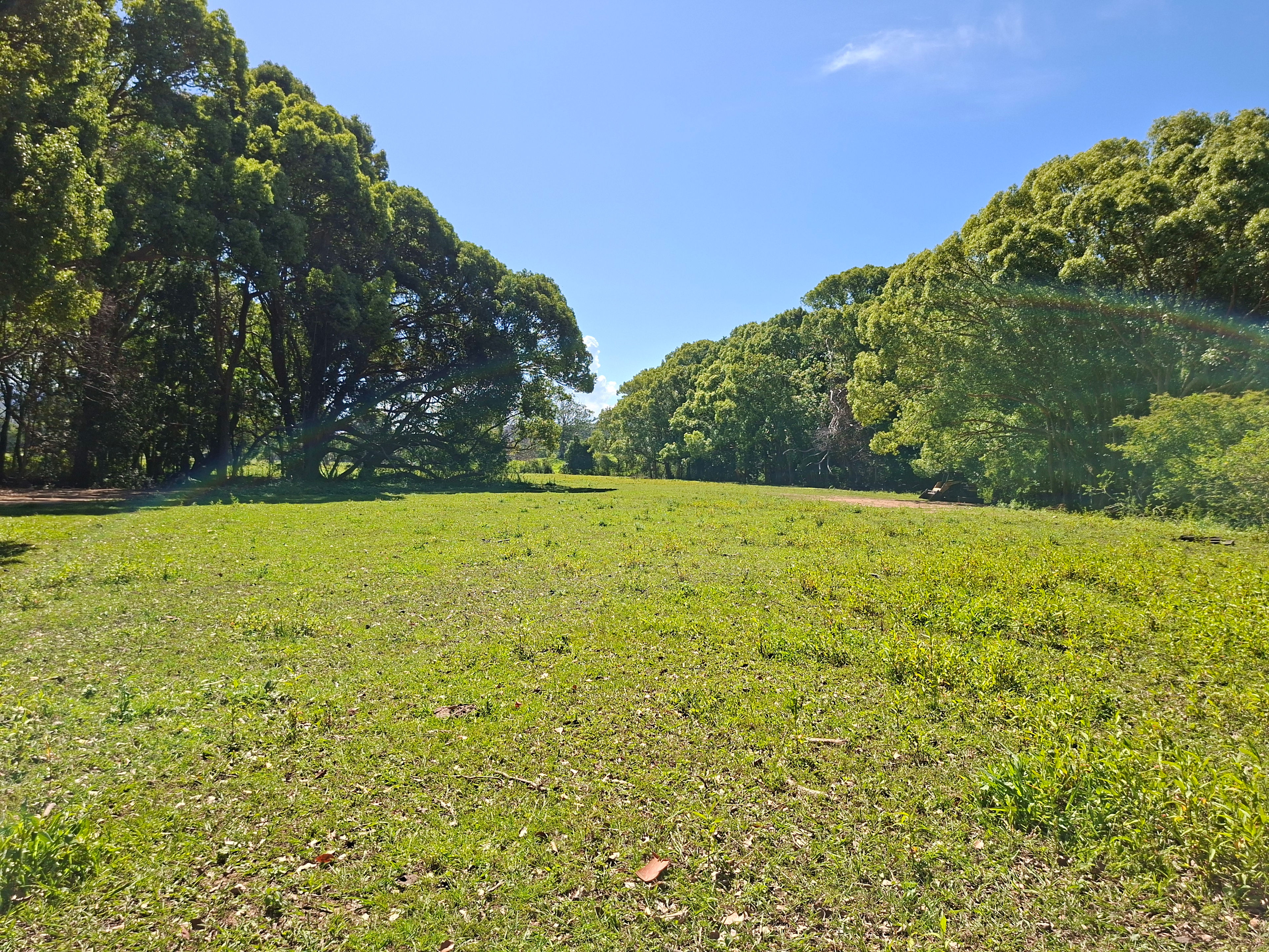 The Old Tractor Farm