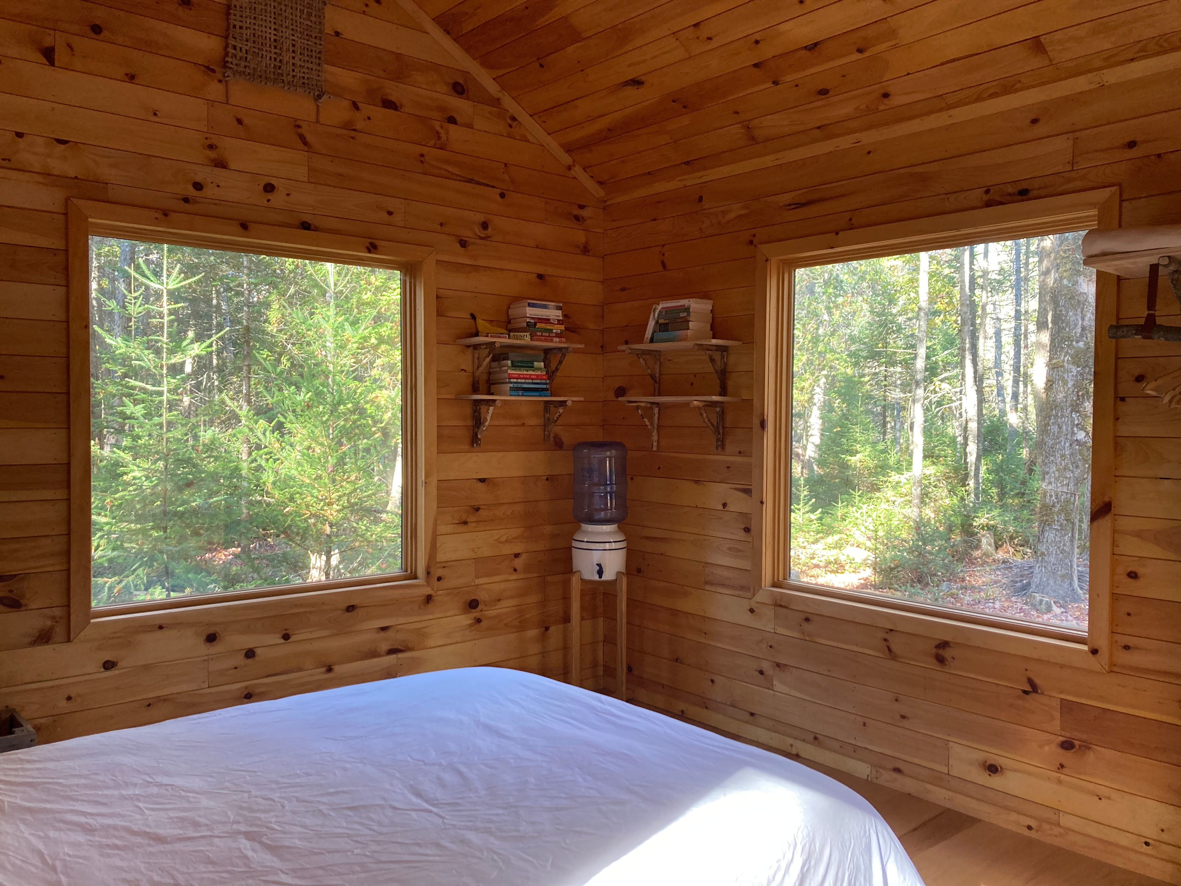 Mossy Forest by the Coast