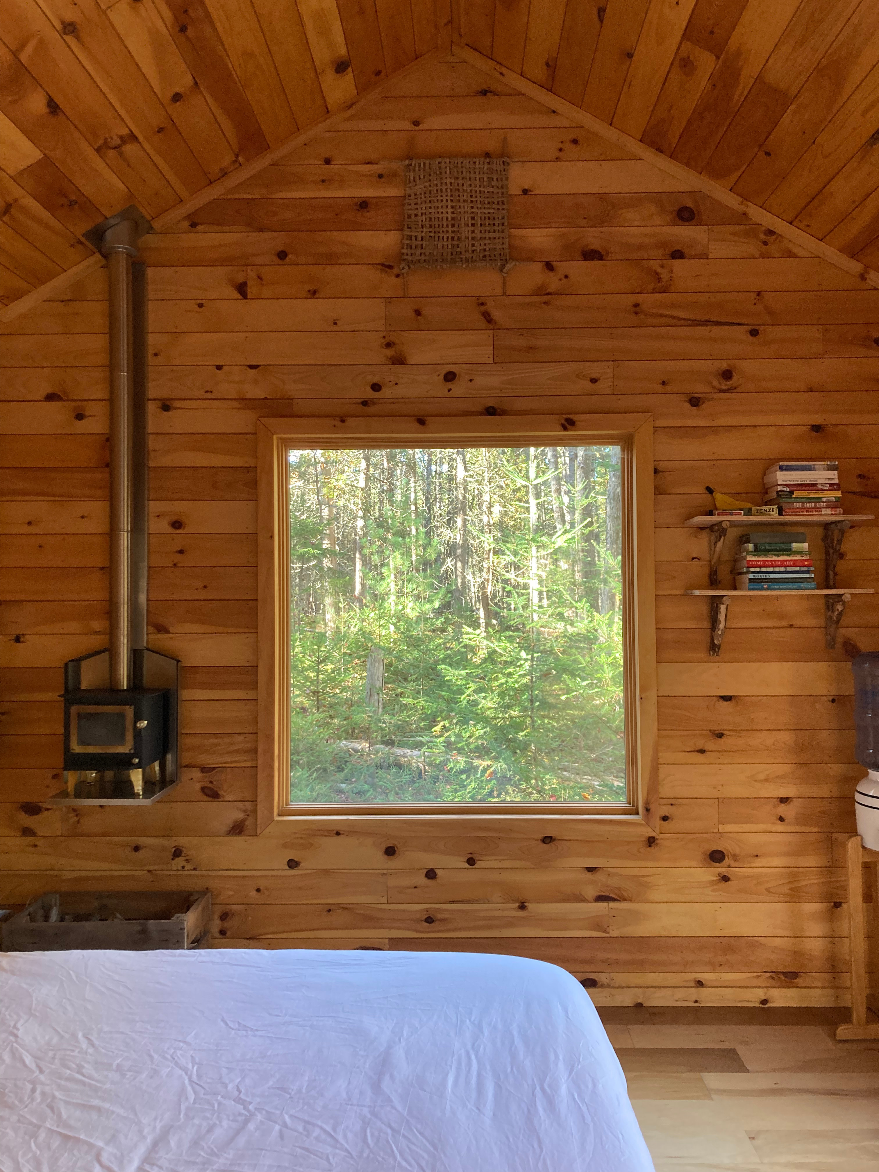 Mossy Forest by the Coast