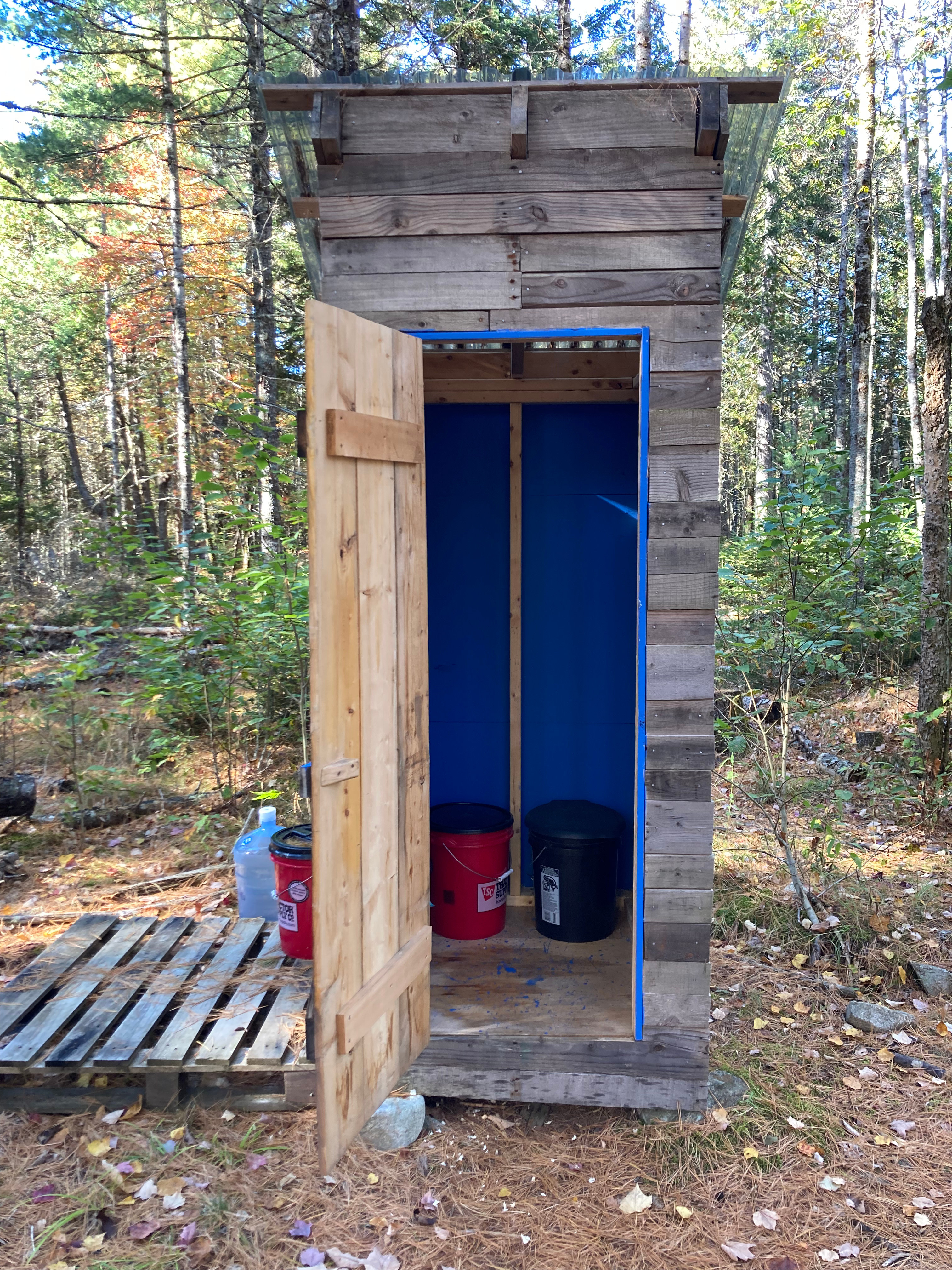 Mossy Forest by the Coast