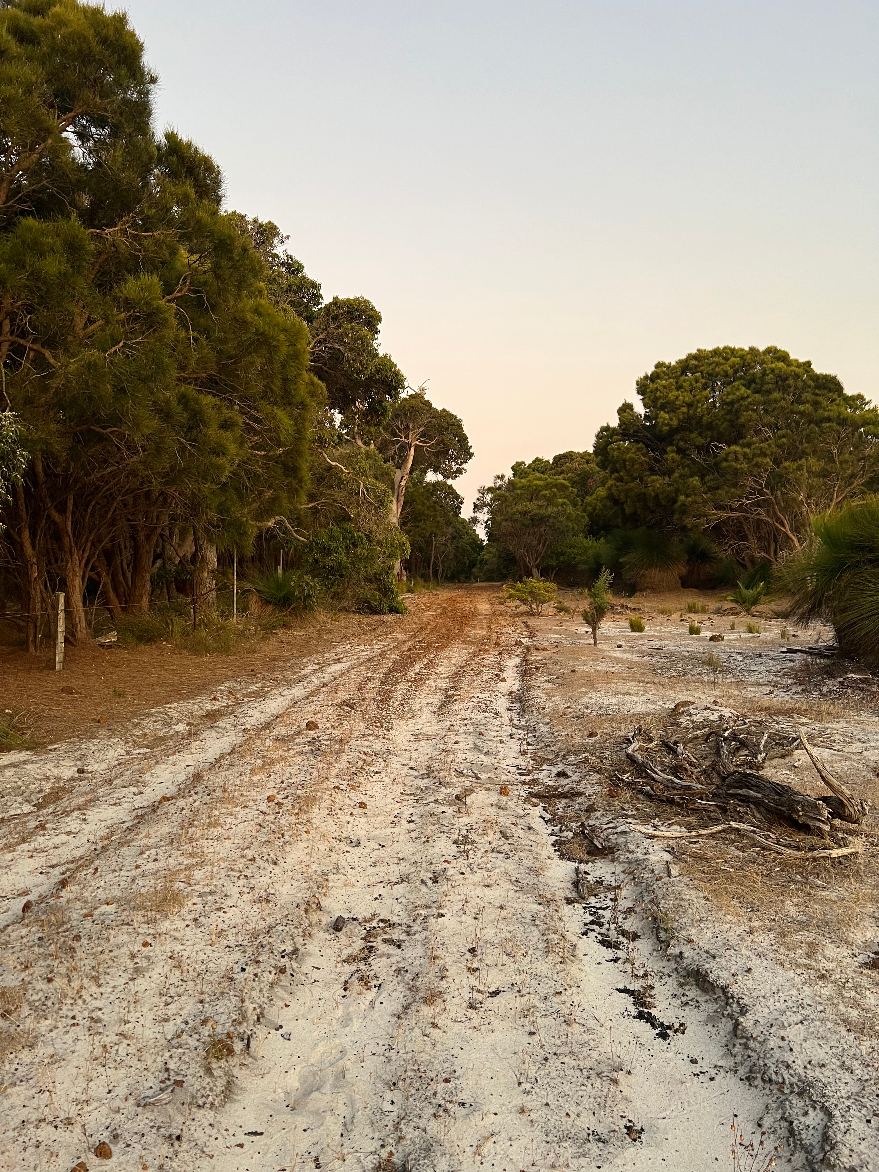 Front track