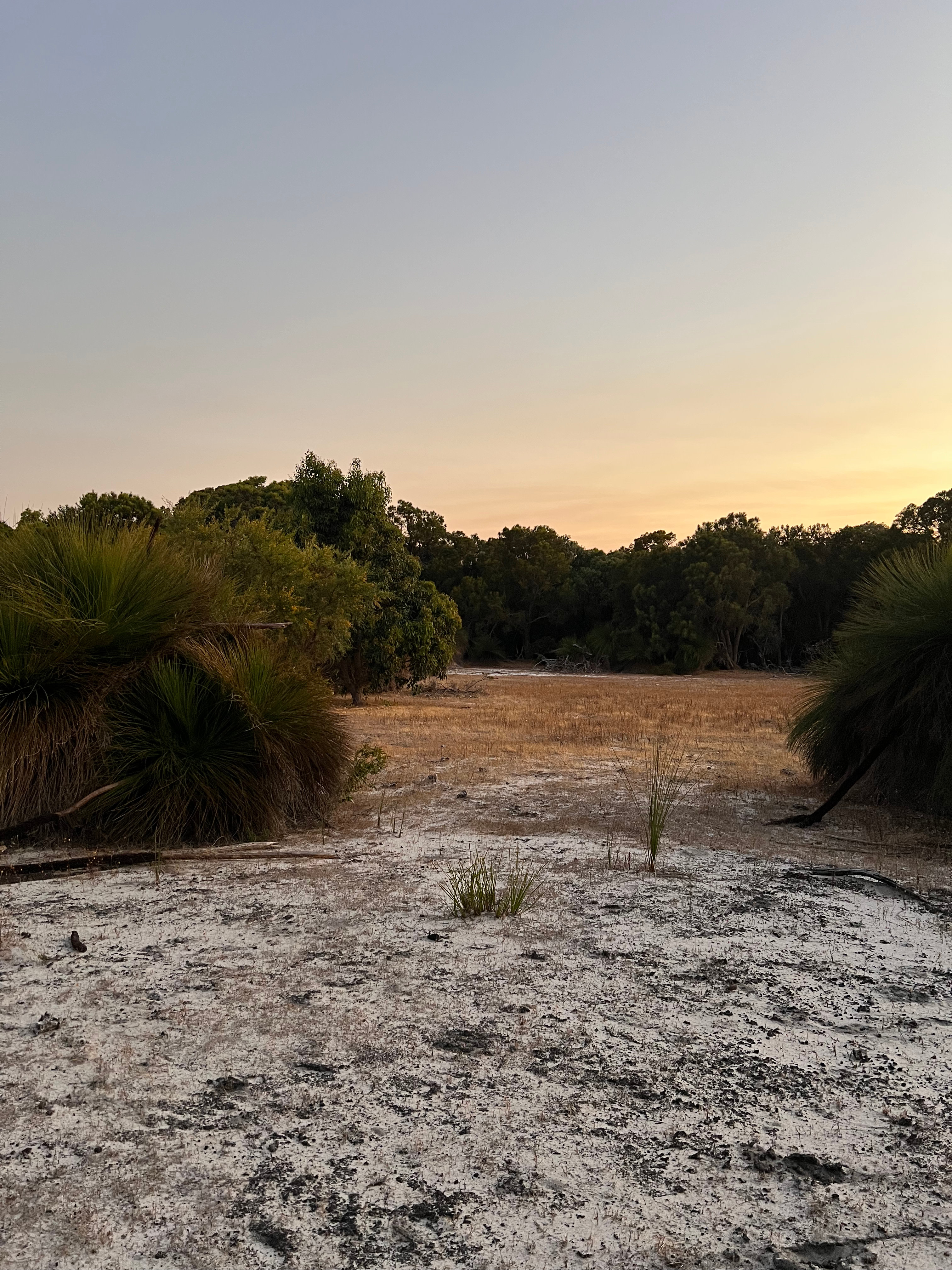 View from fence line track entry to site 1