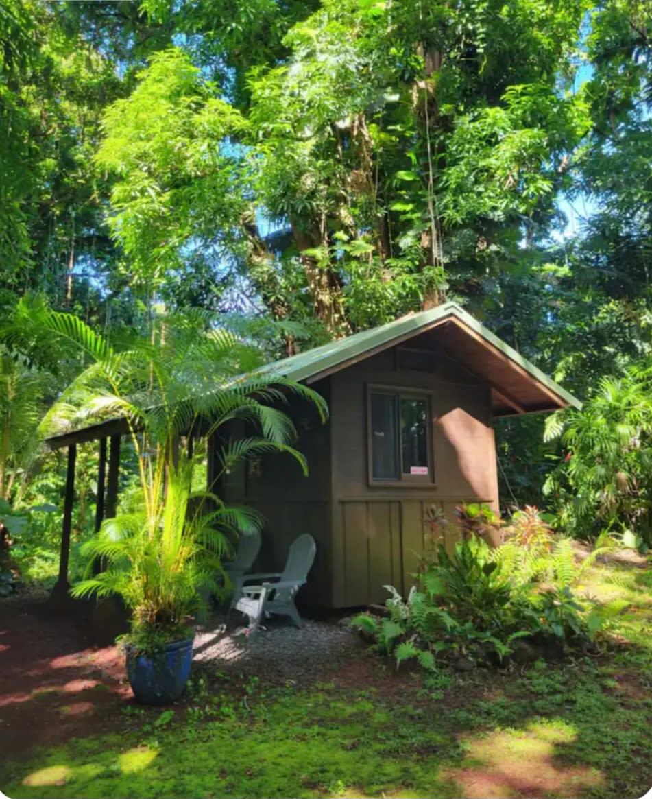 Secluded Jungle Cabin