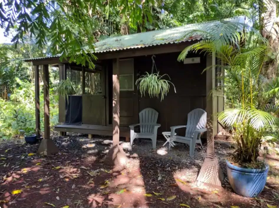 Secluded Jungle Cabin