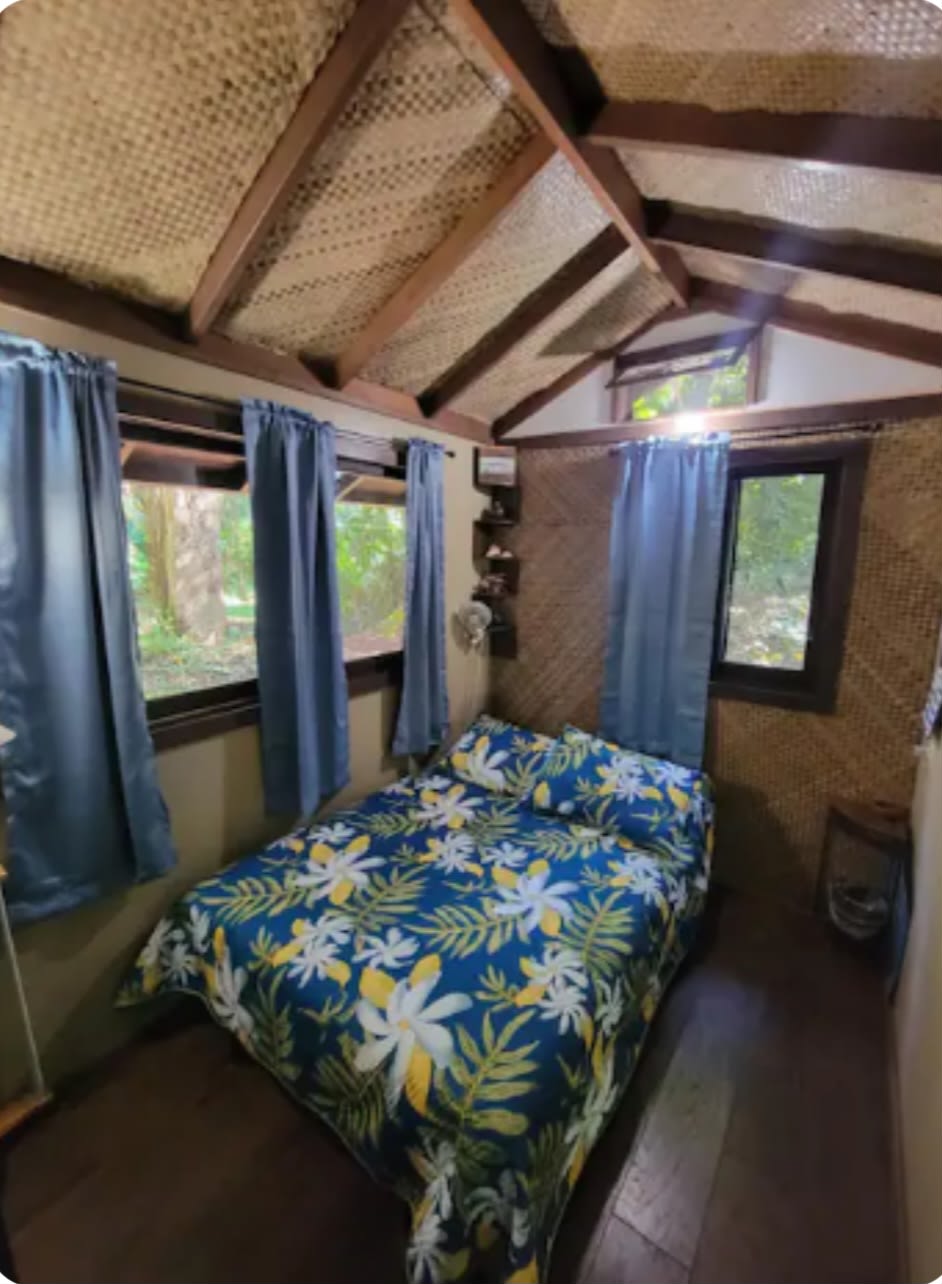 Secluded Jungle Cabin