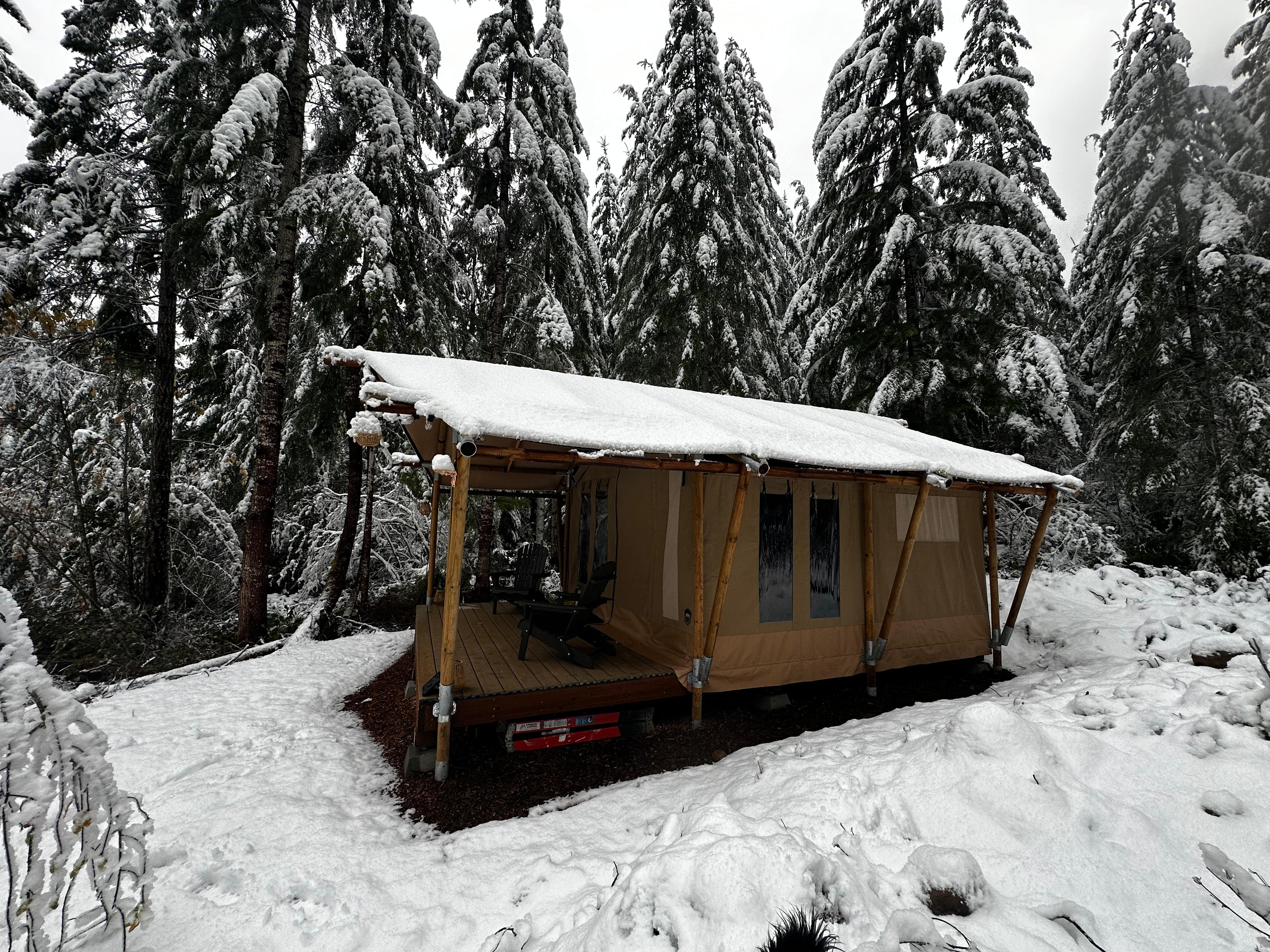 Safari Tent In The Olympics
