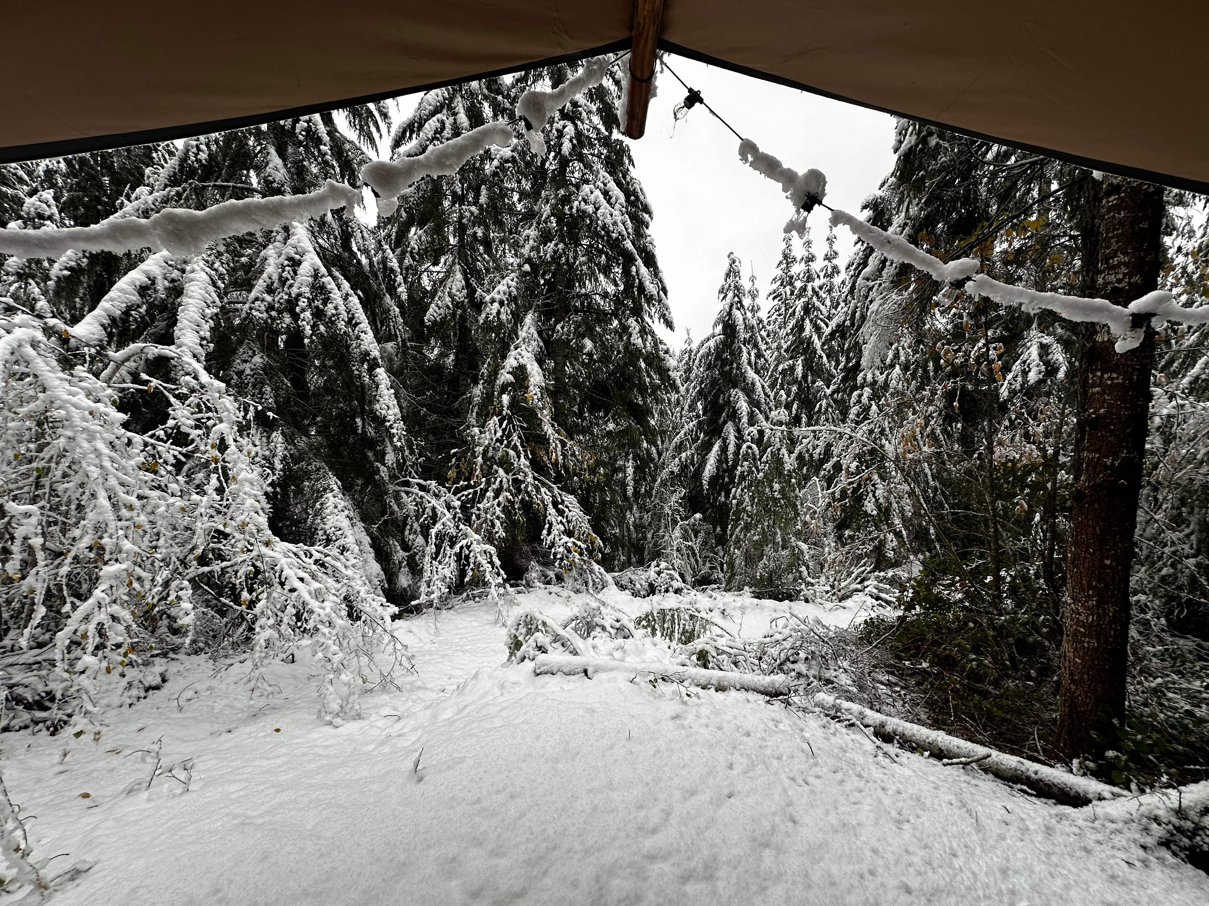 Safari tent in the Olympics