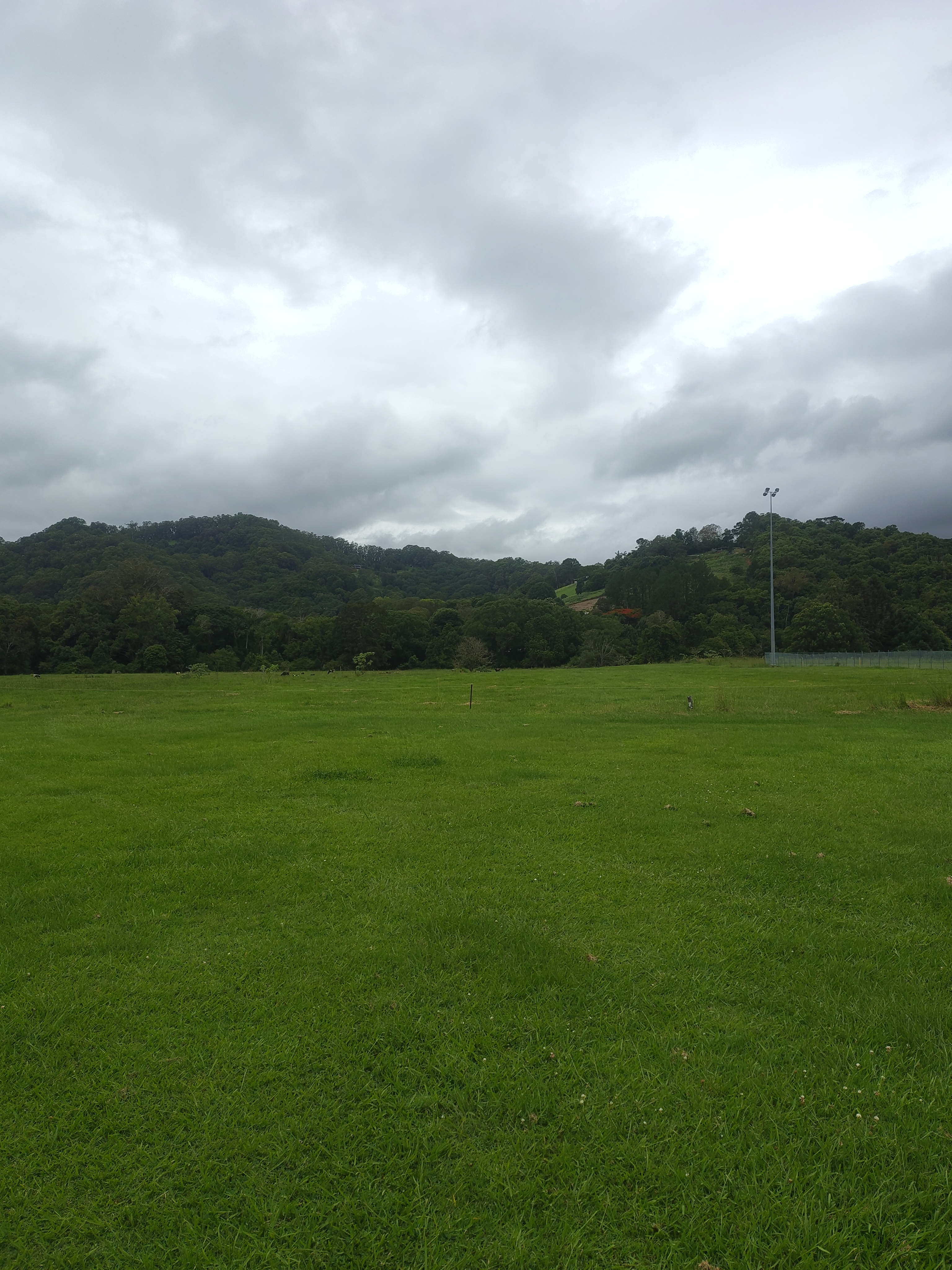Tweed Valley Farmhouse Cheeses