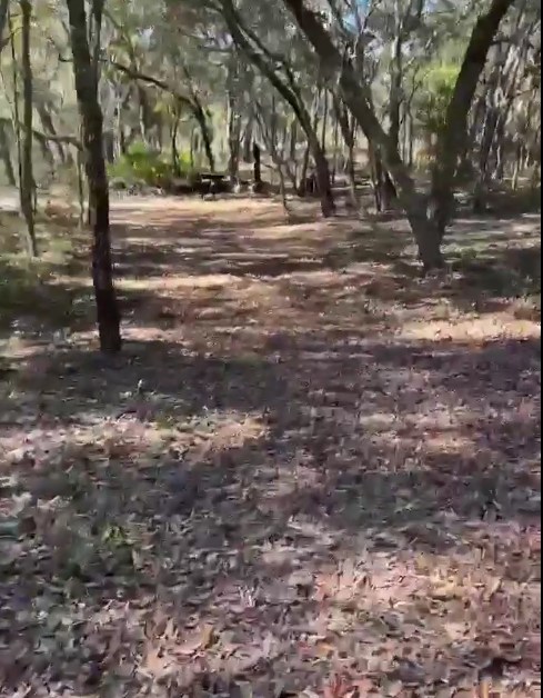 Welcome to Constitucion!