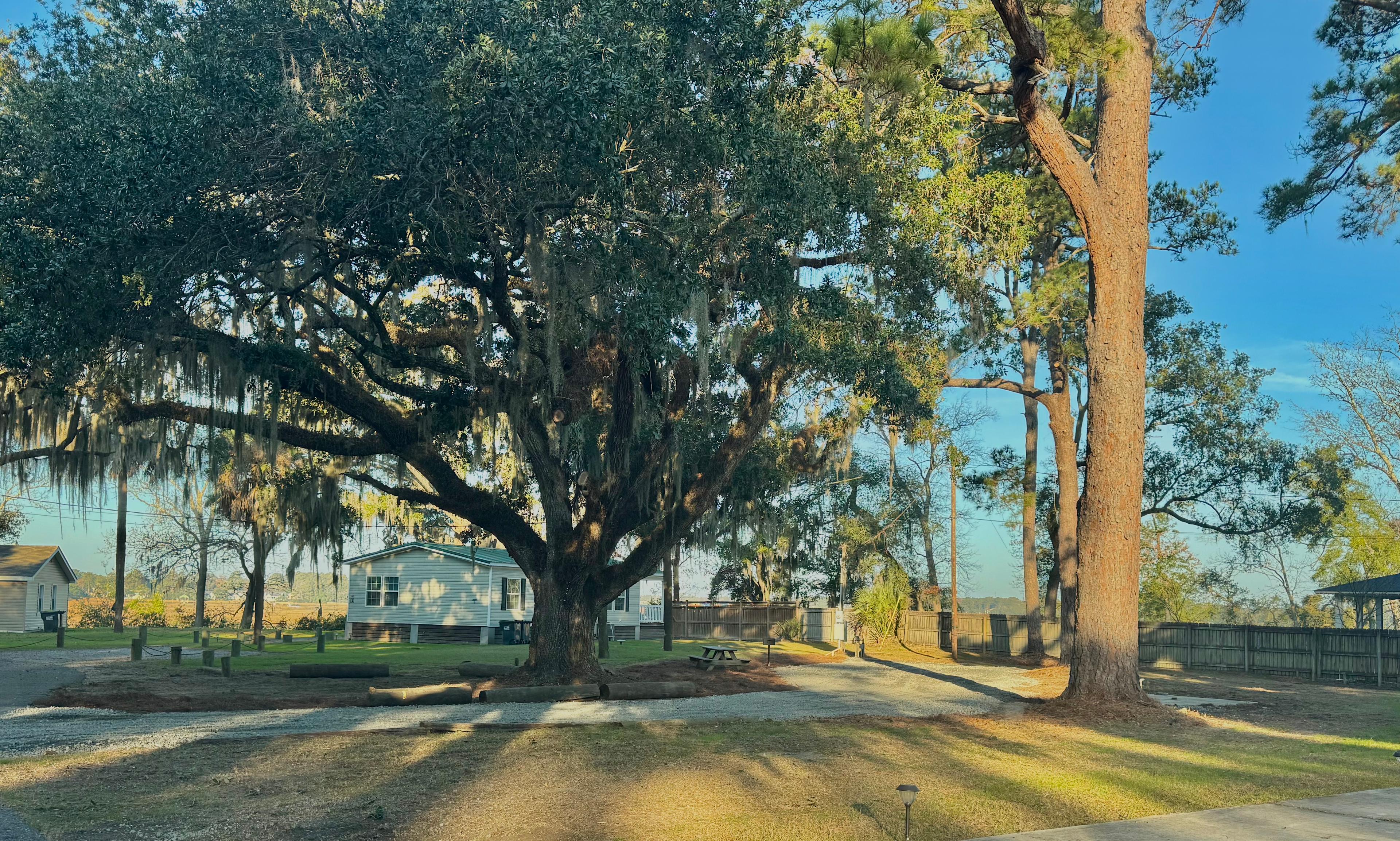Private Campsite In Beaufort, SC!