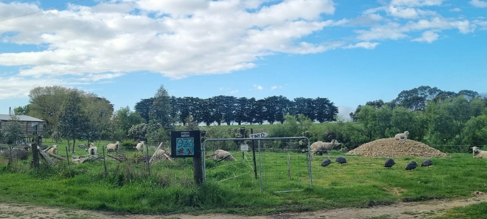 Glamping at Frog Hollow Farmstay