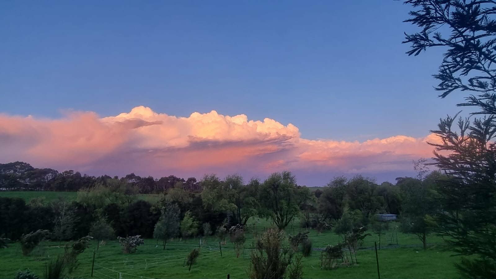 Glamping at Frog Hollow Farmstay