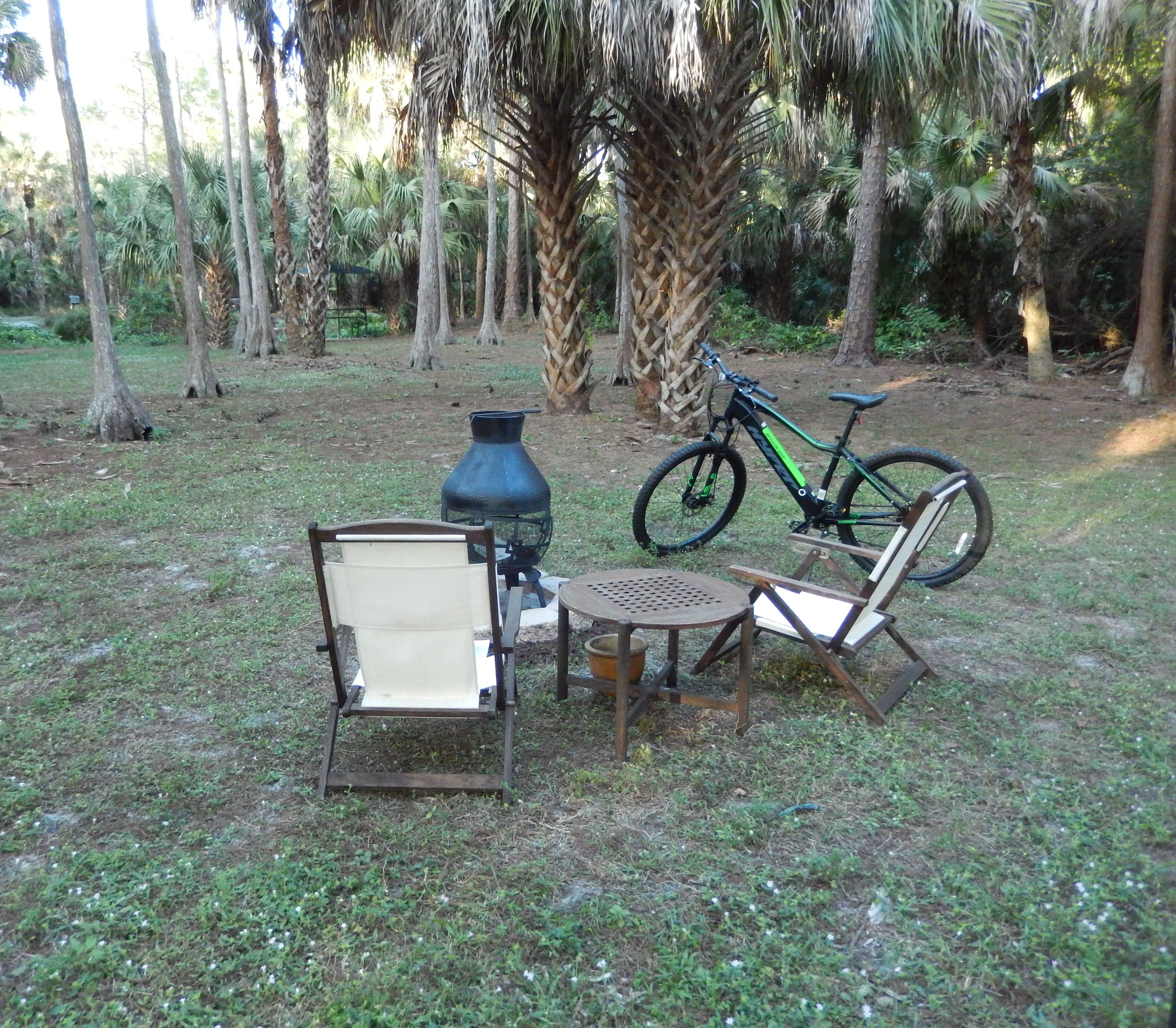The "long view" of the property which extends 150 yards into the Bald Cypress stand. The campfire pit is located only 50 feet from the cabin in case things get a little scary!