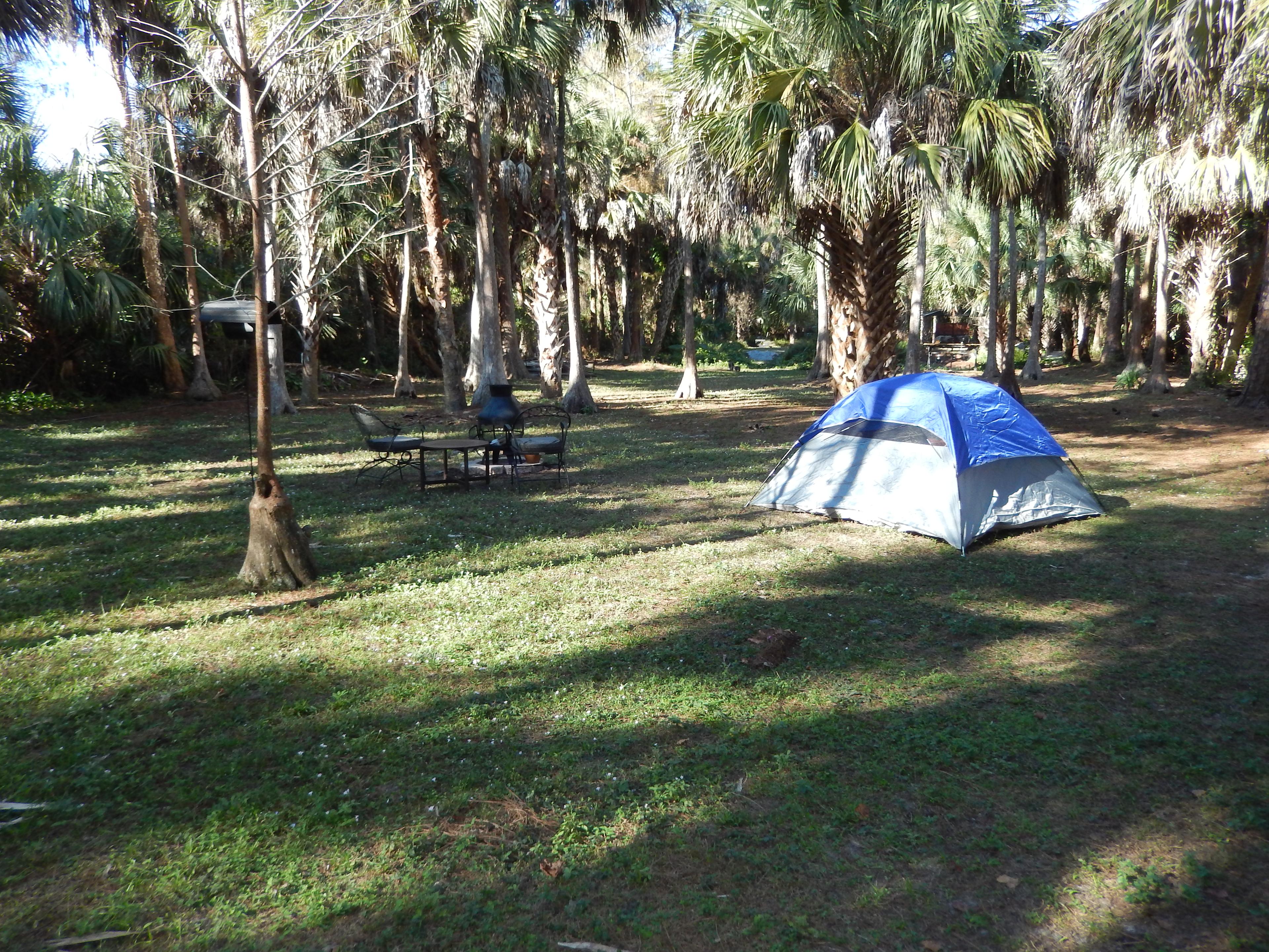 The "long view" into the Bald Cypress stand. This campfire pit is located 50 feet from the security of the cabin.