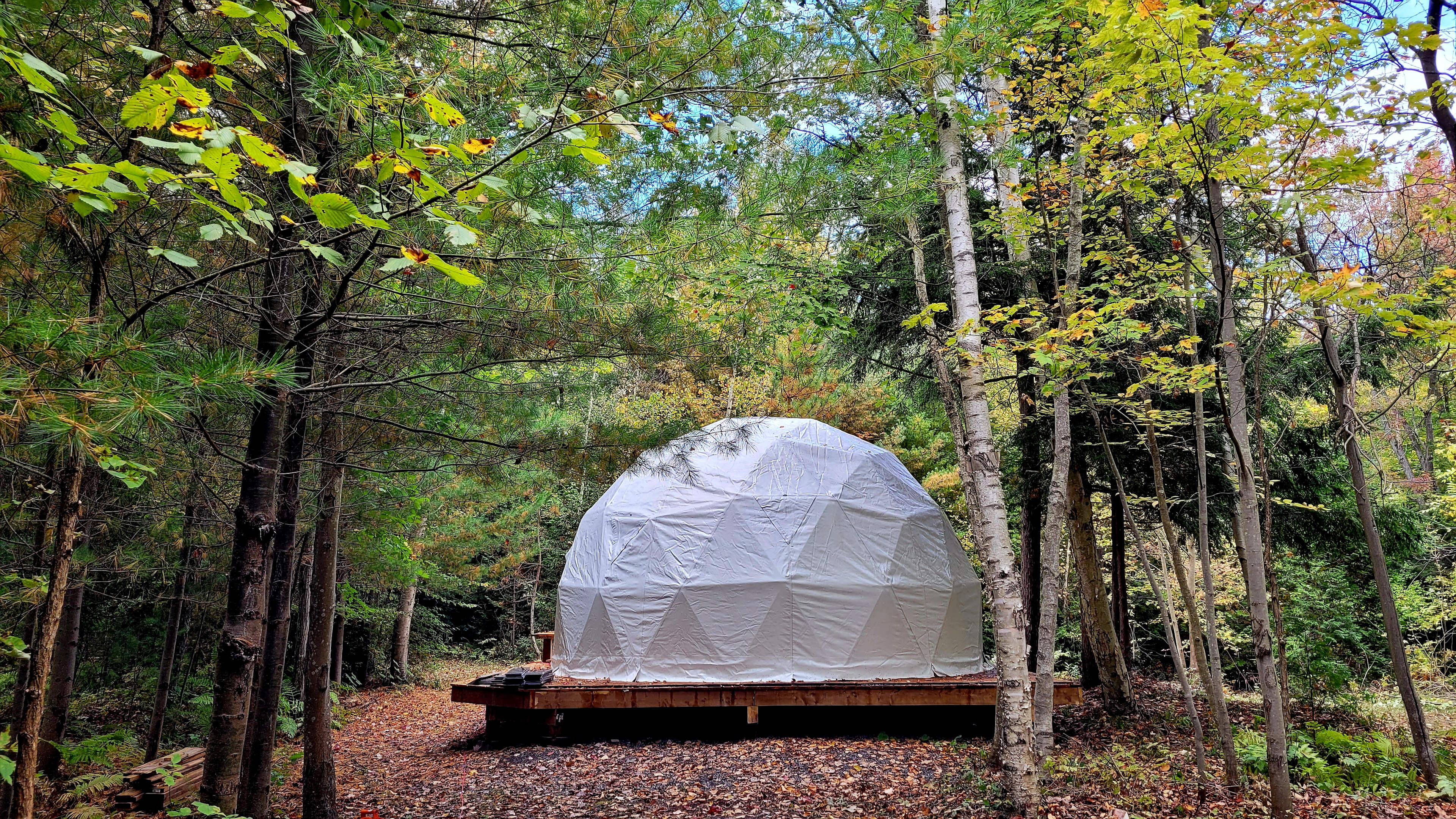 Woodlands Dome - charming getaway