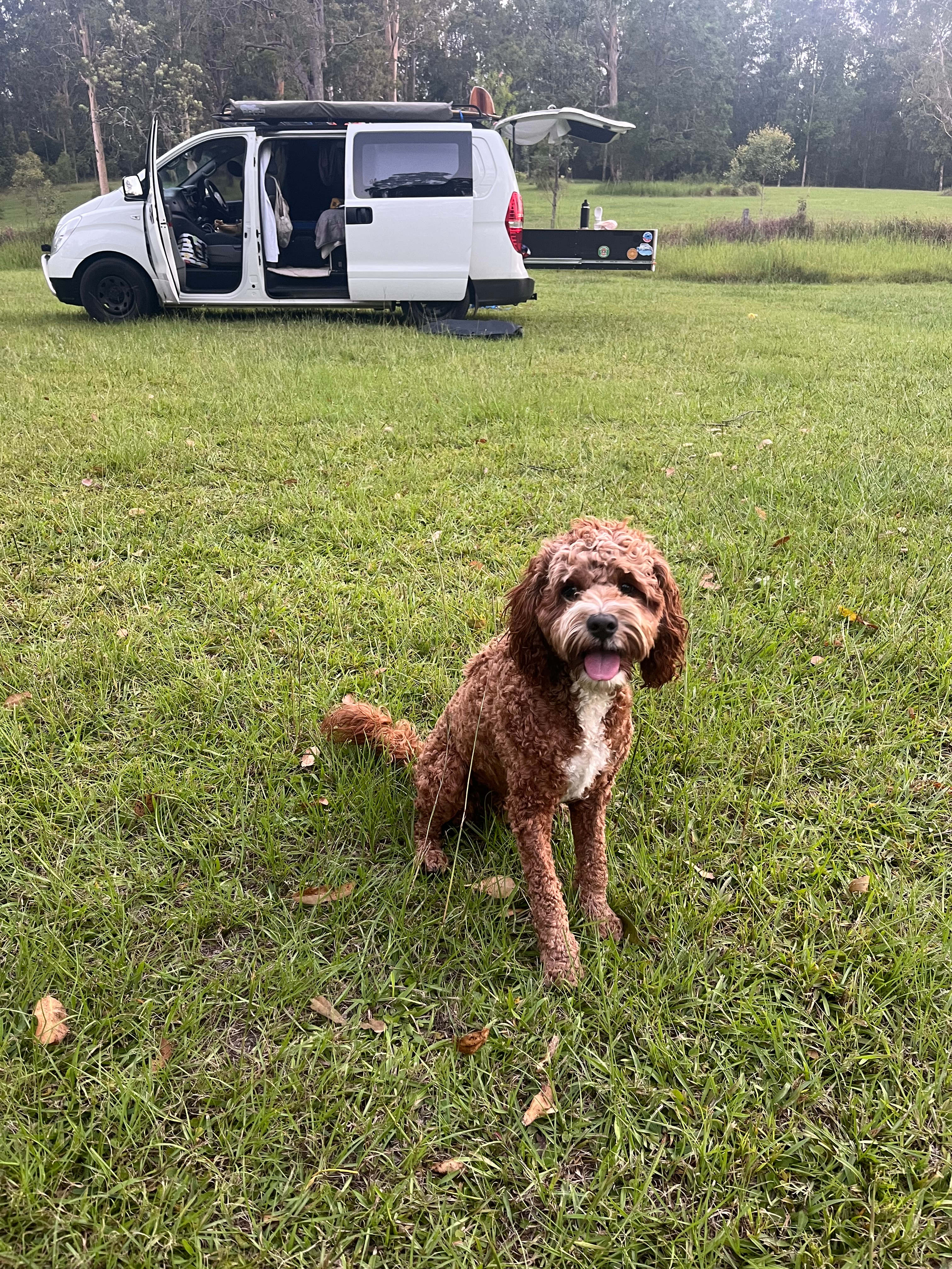 The Good Life Camping