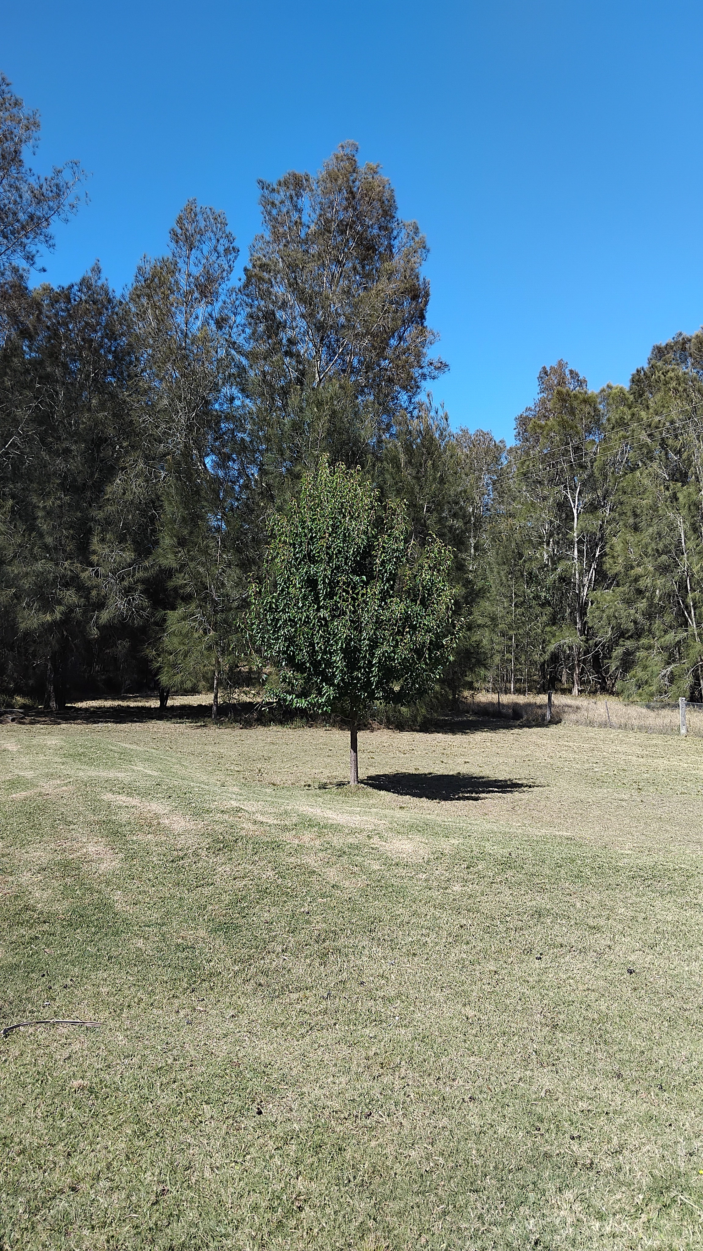 Follow fence line down to camping spot.