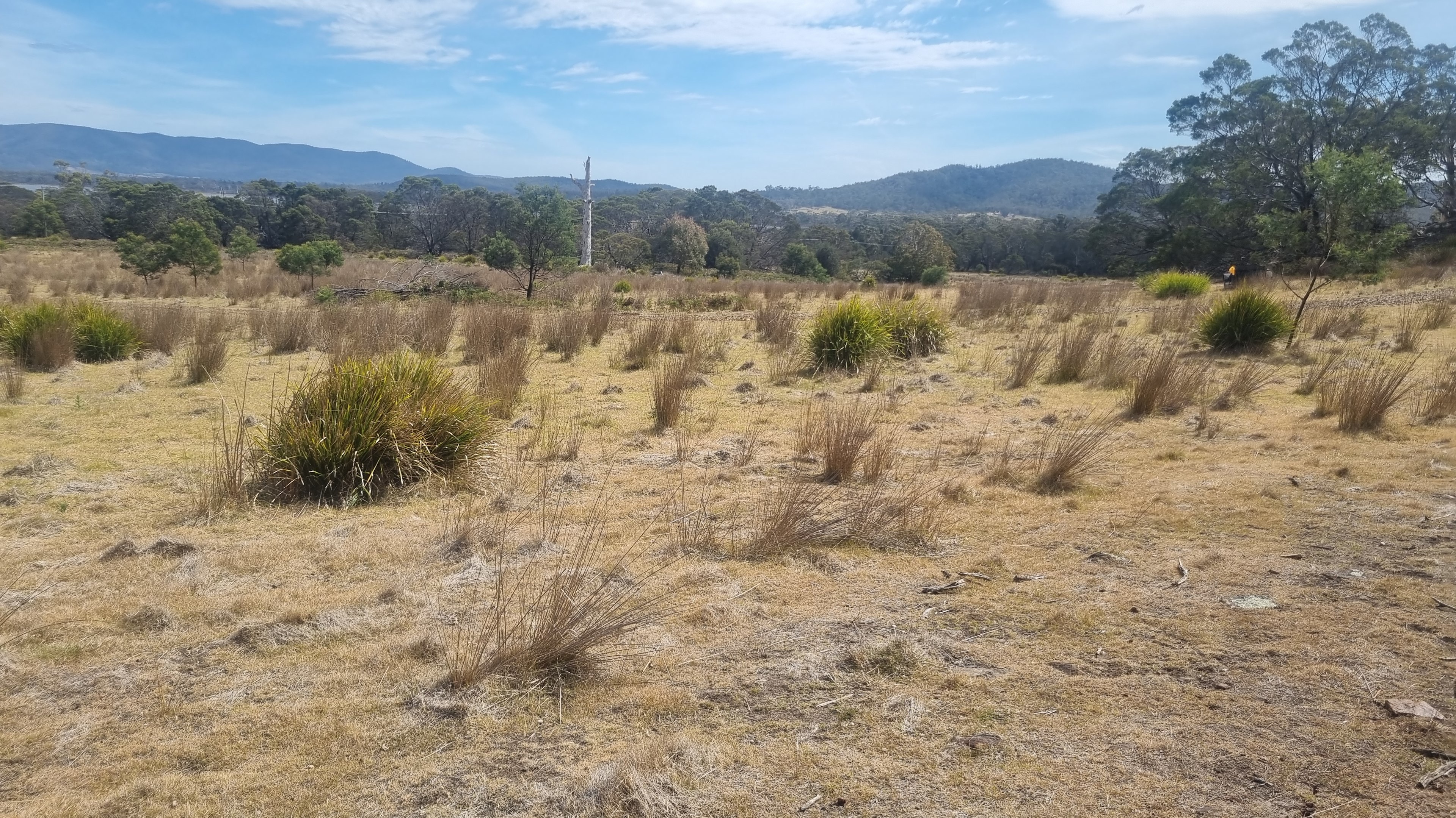 Spir Friendly Beaches