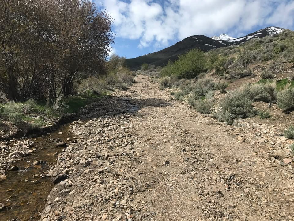 Sagevalley Hilltop Ranch