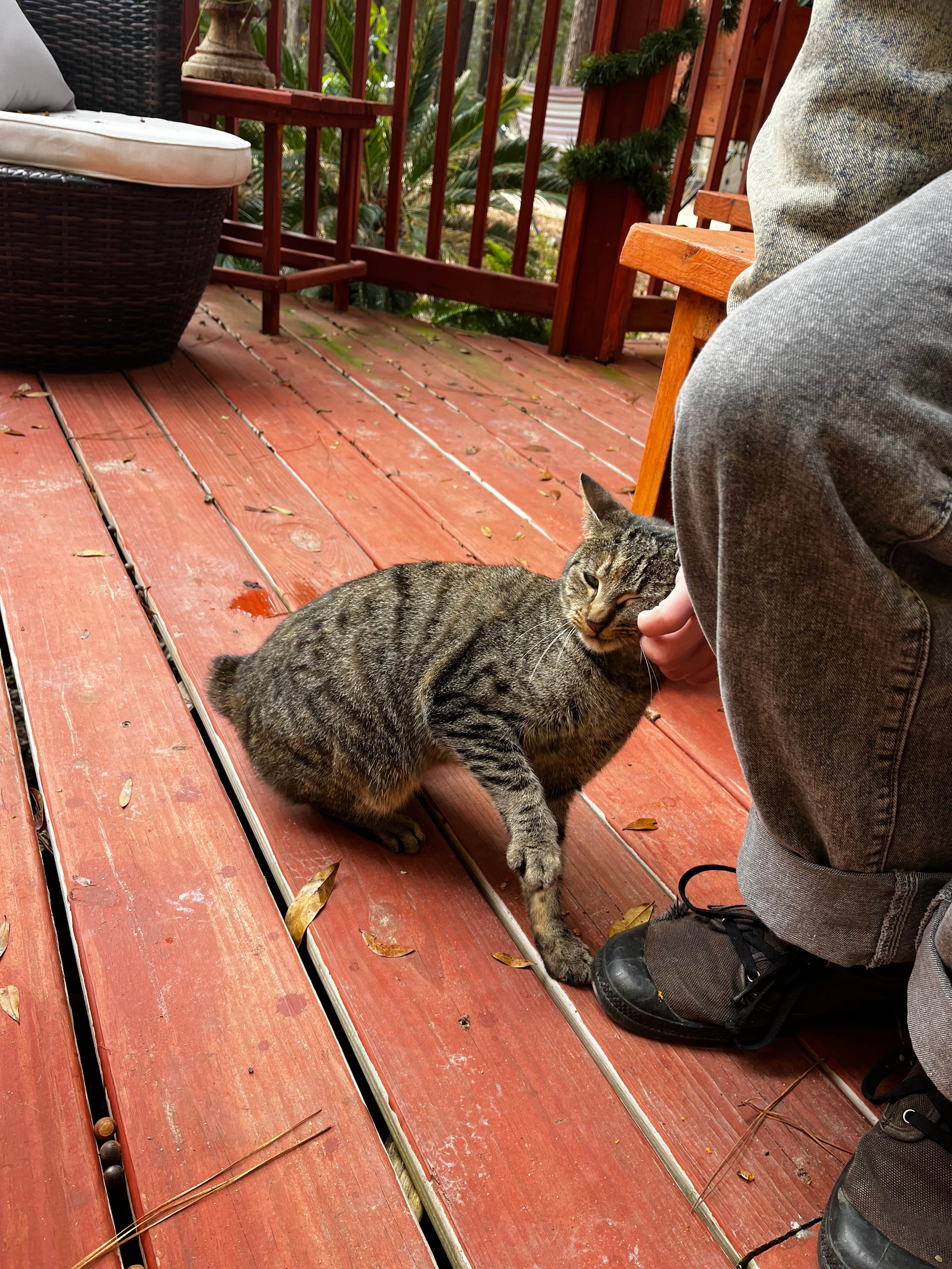 Glamping In Paradise