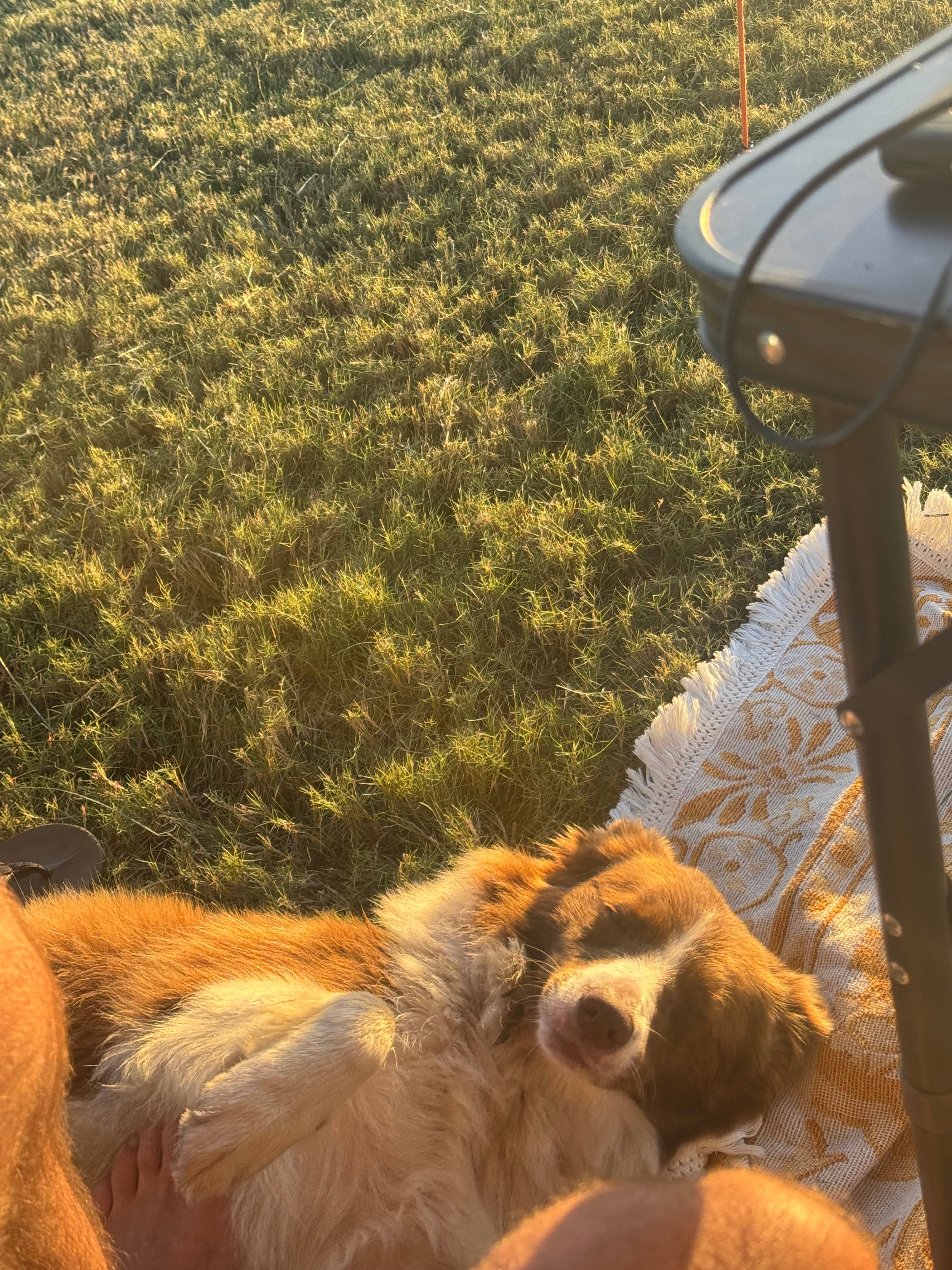 South West Rocks Farm Camp