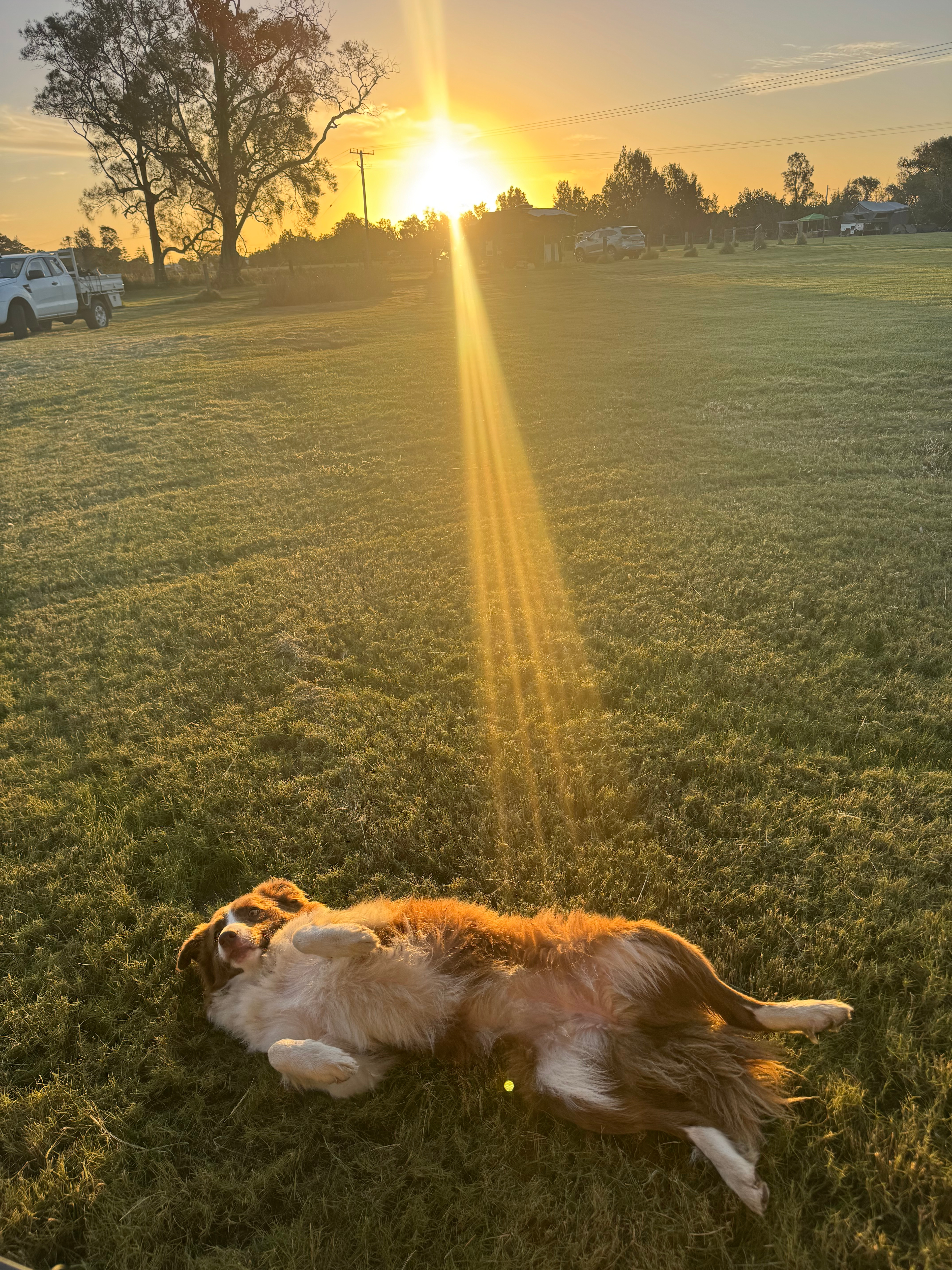 South West Rocks Farm Camp