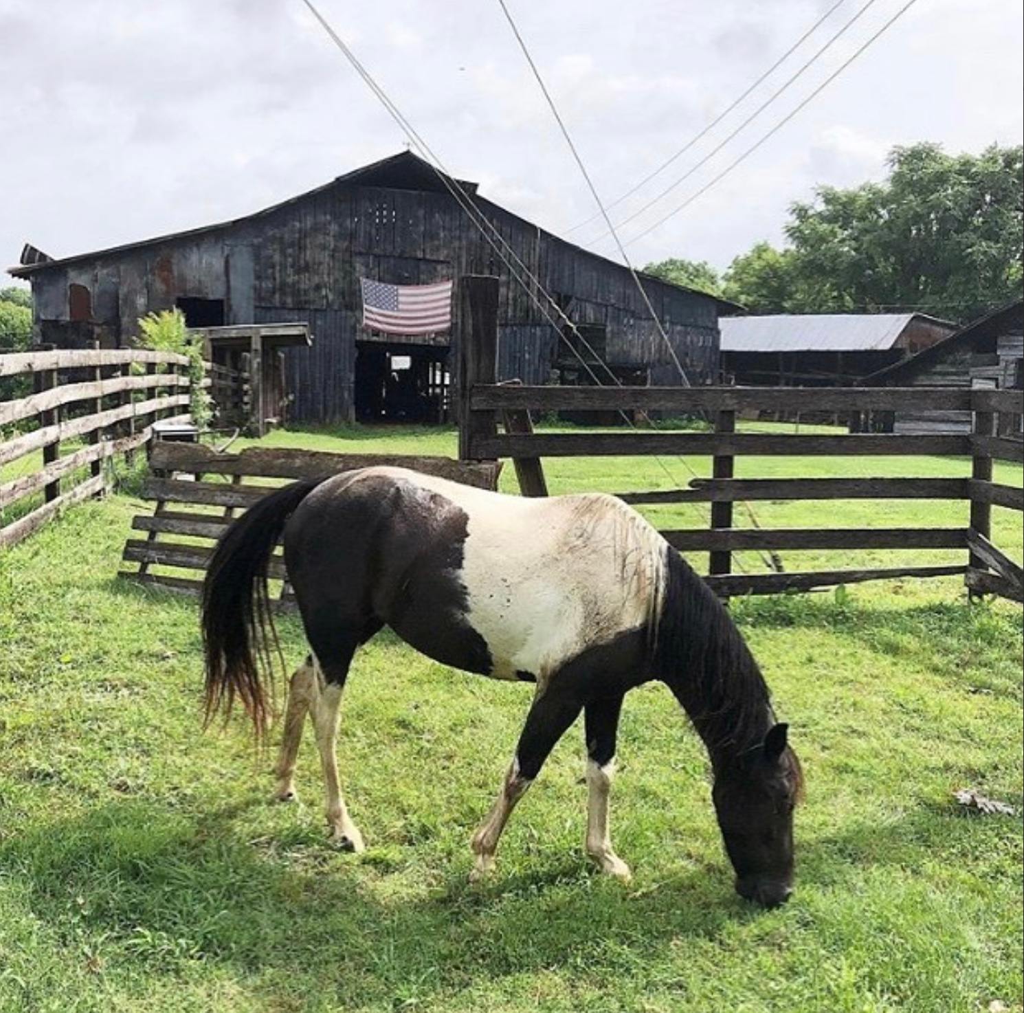 Muletown Farm | Pond | Sunset Views