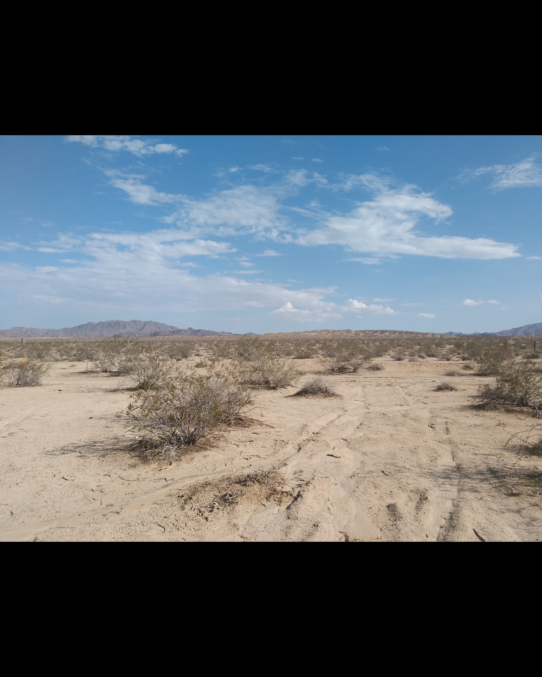 Private Desert Oleander RV Camp