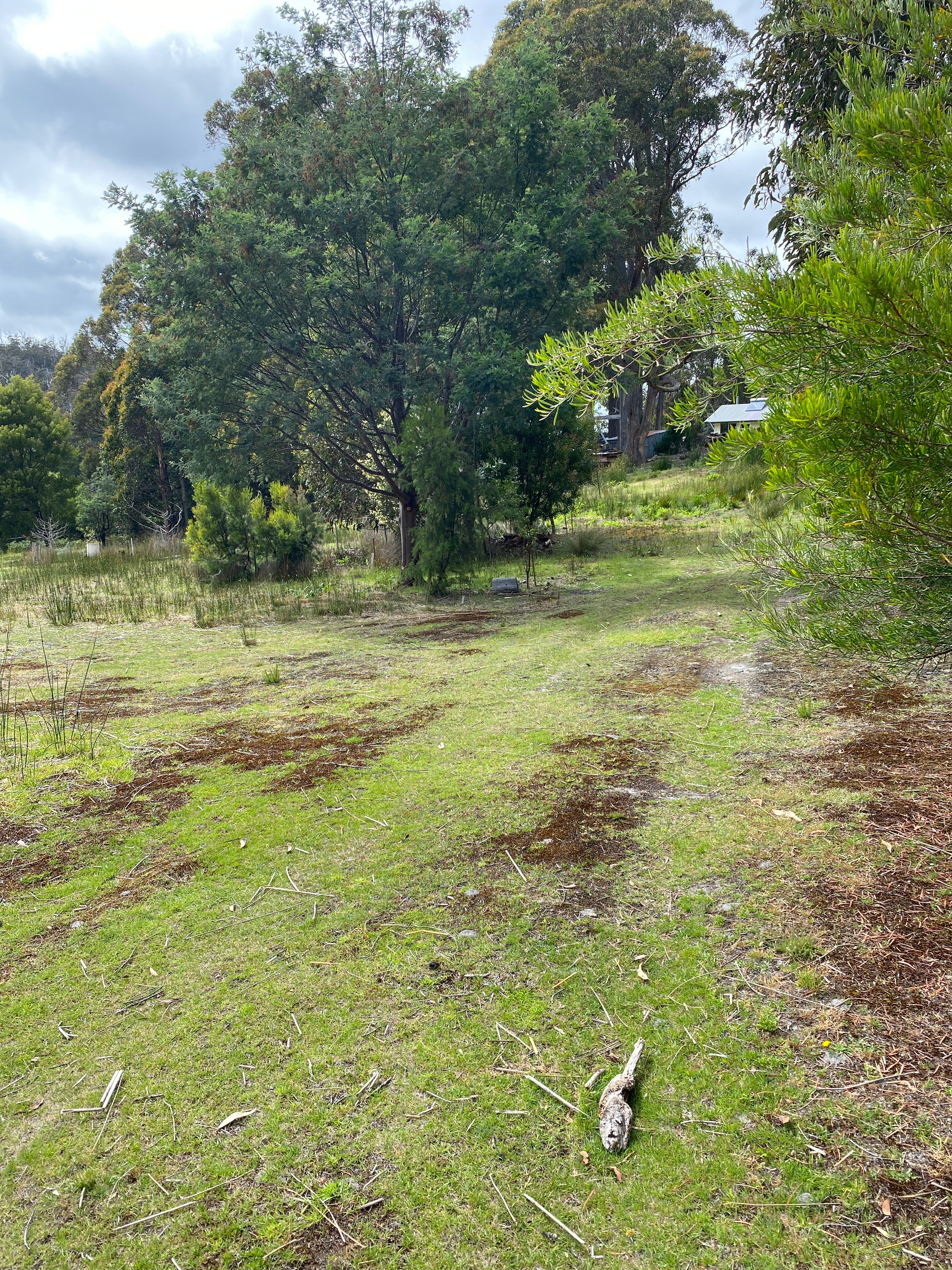 Tea tree camp 4
Vans or long caravans or longer stays 