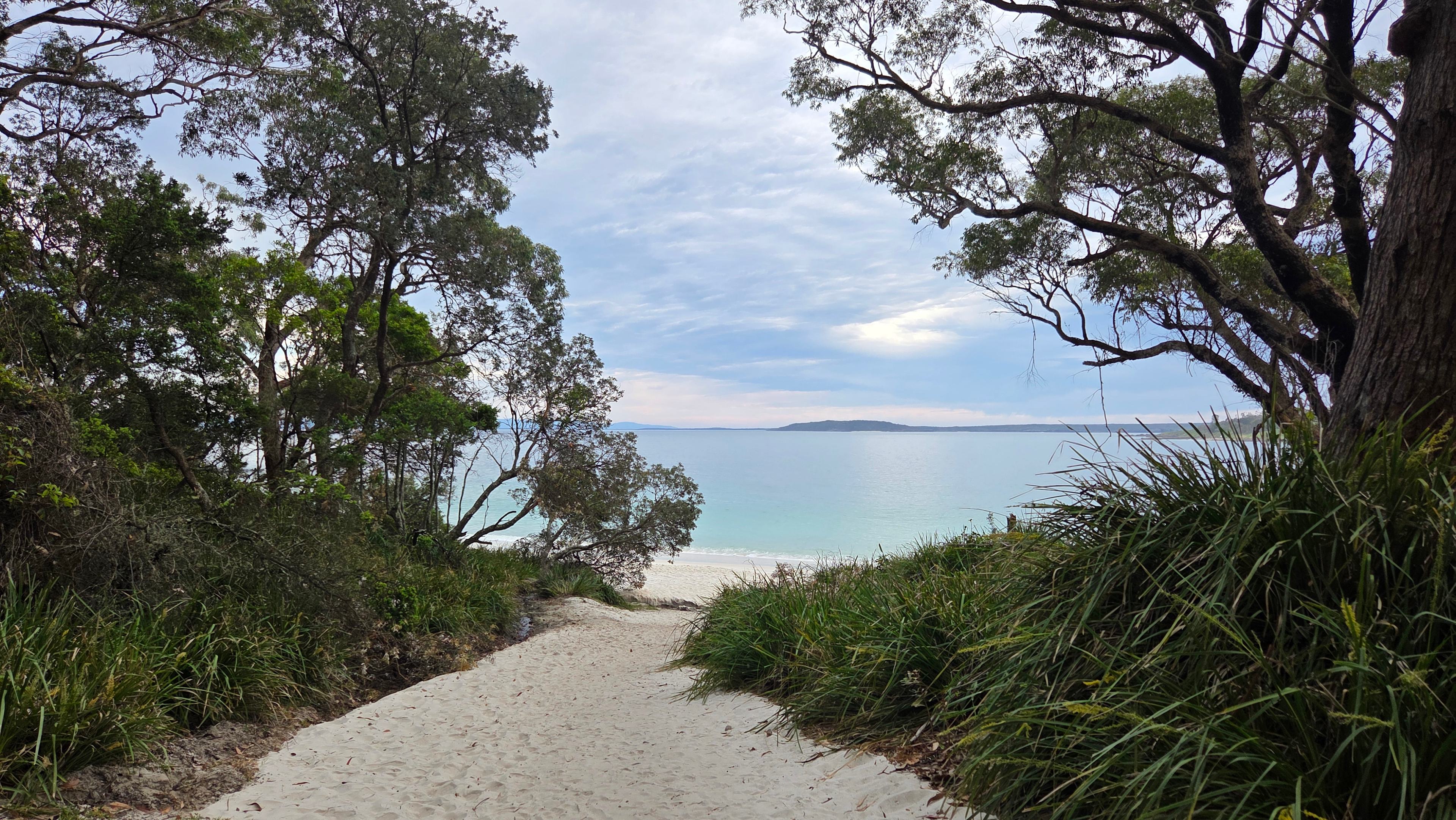 Park On Park (Concrete or Grassy)
