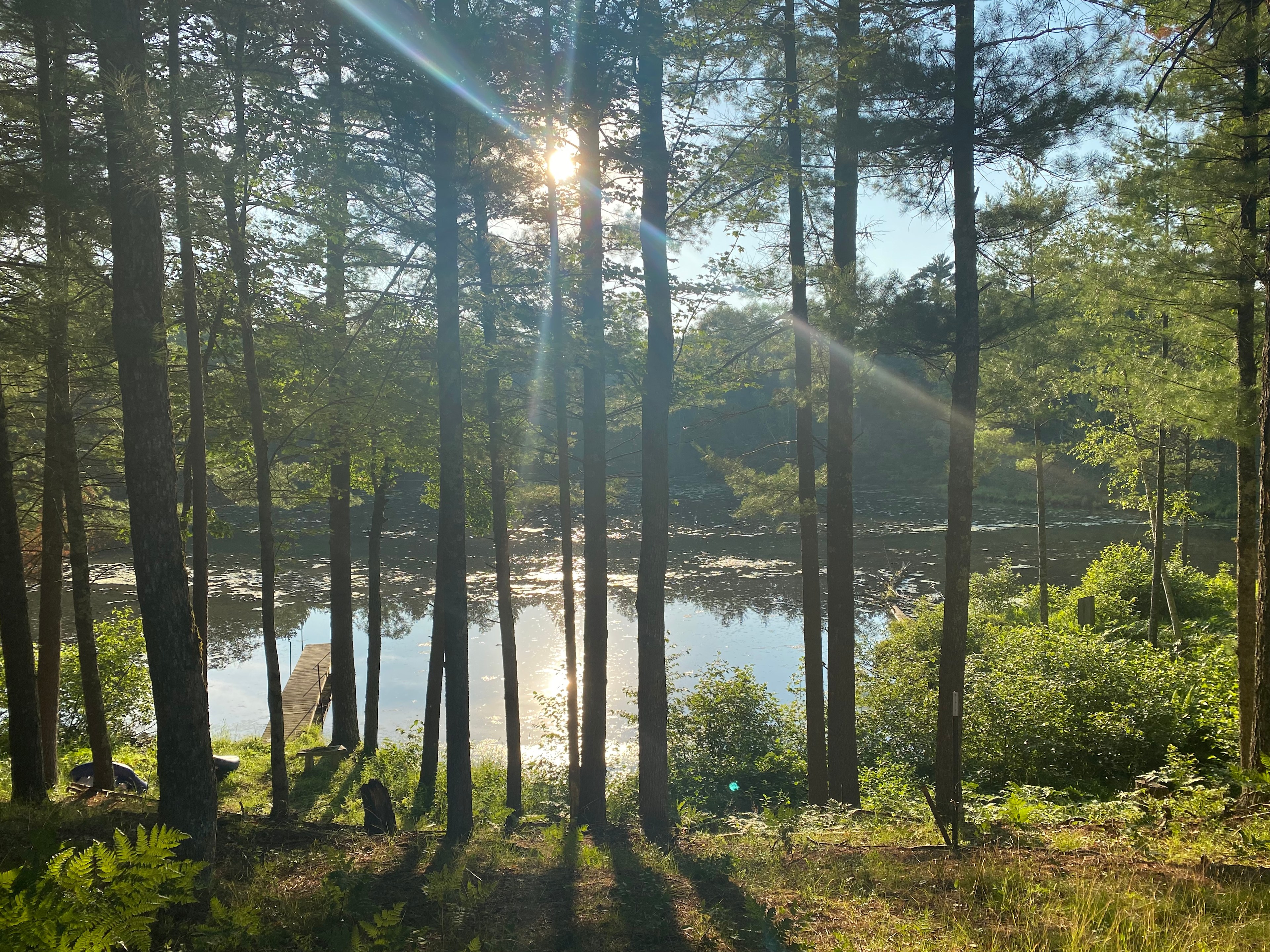 Hidden Pond & River Oasis
