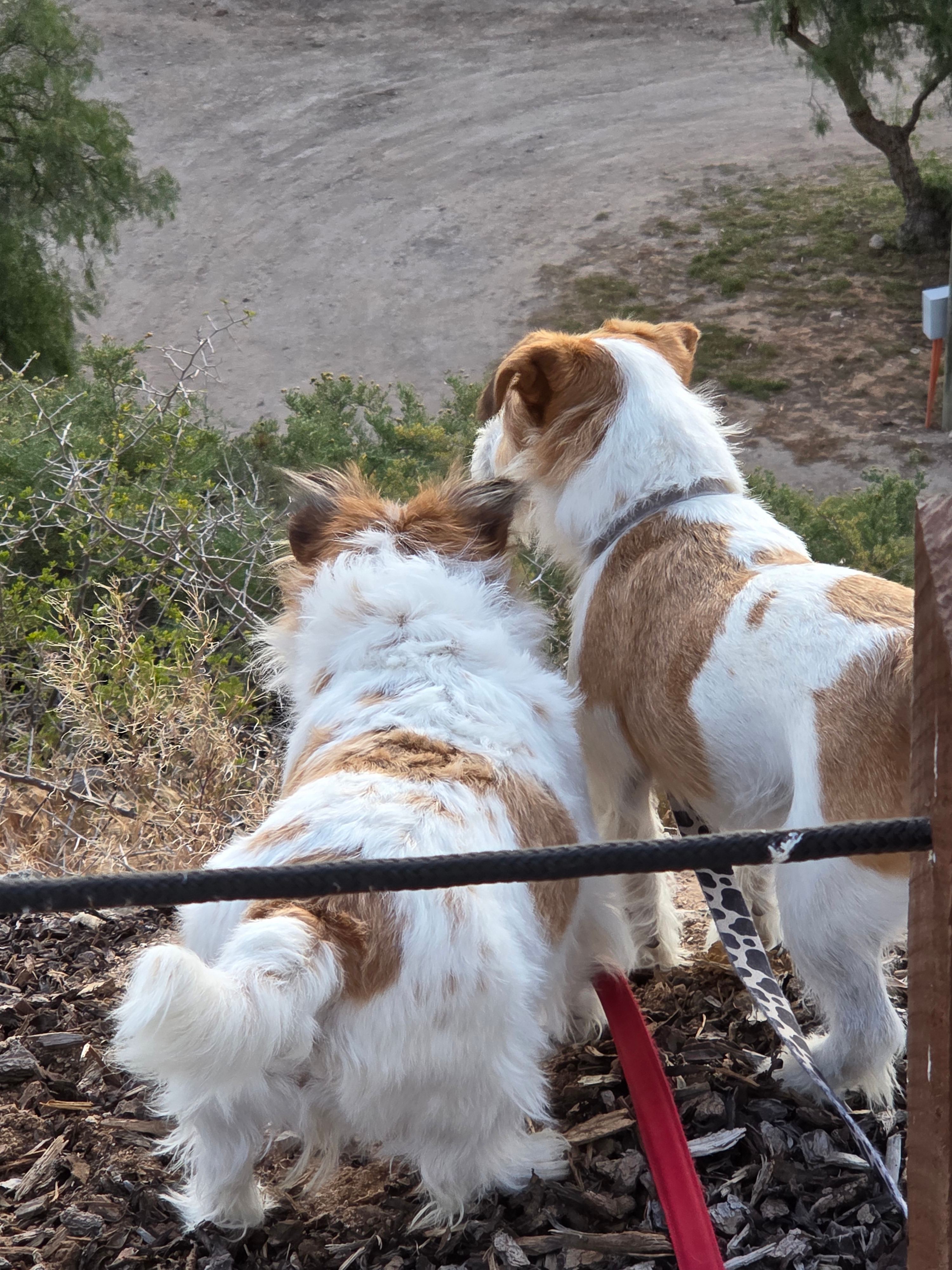 Waterfront HP - Adult Only Retreat