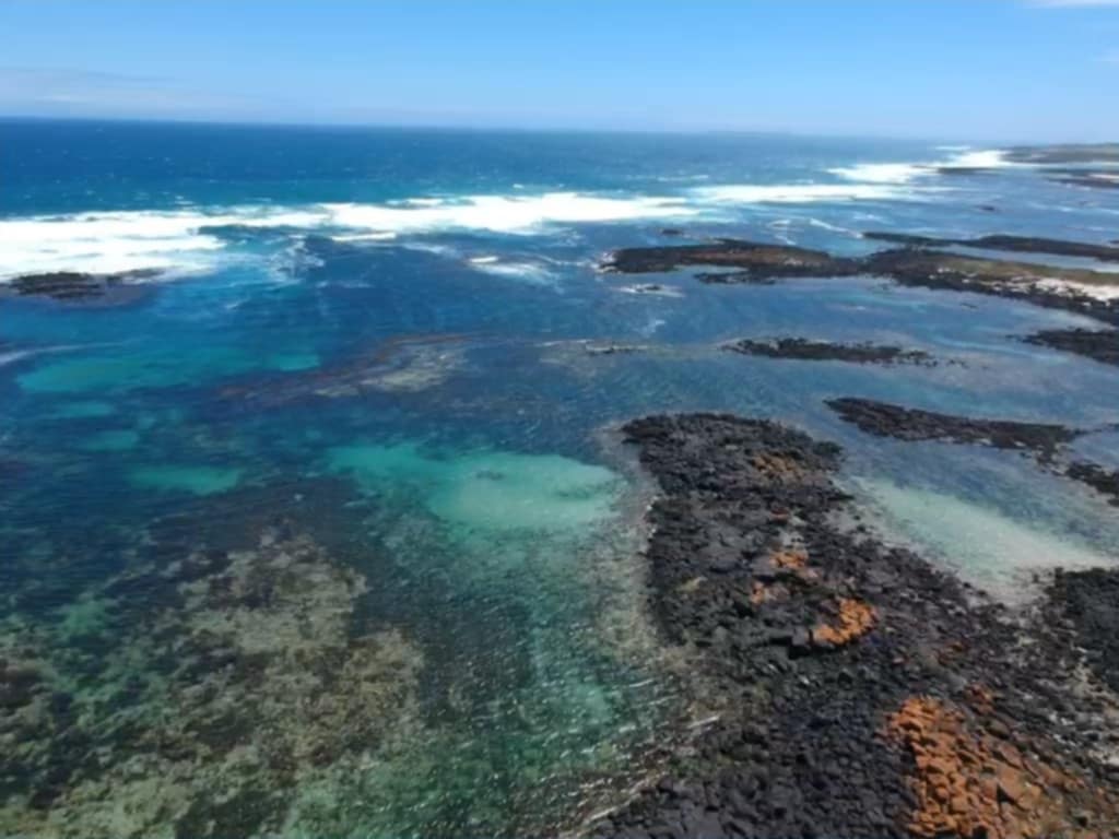 Drone photo of the beachfront