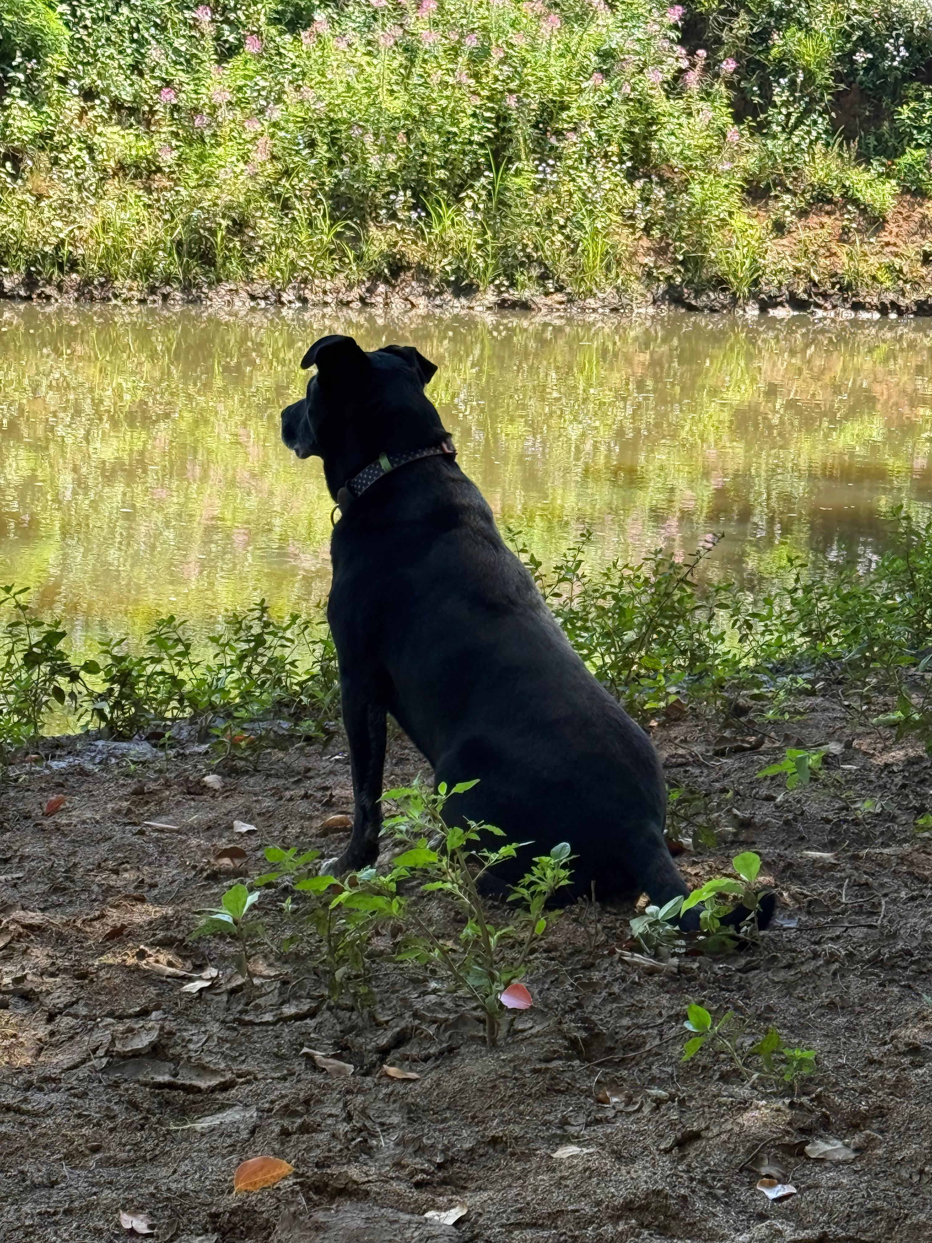 Eltham Station Farm Stay