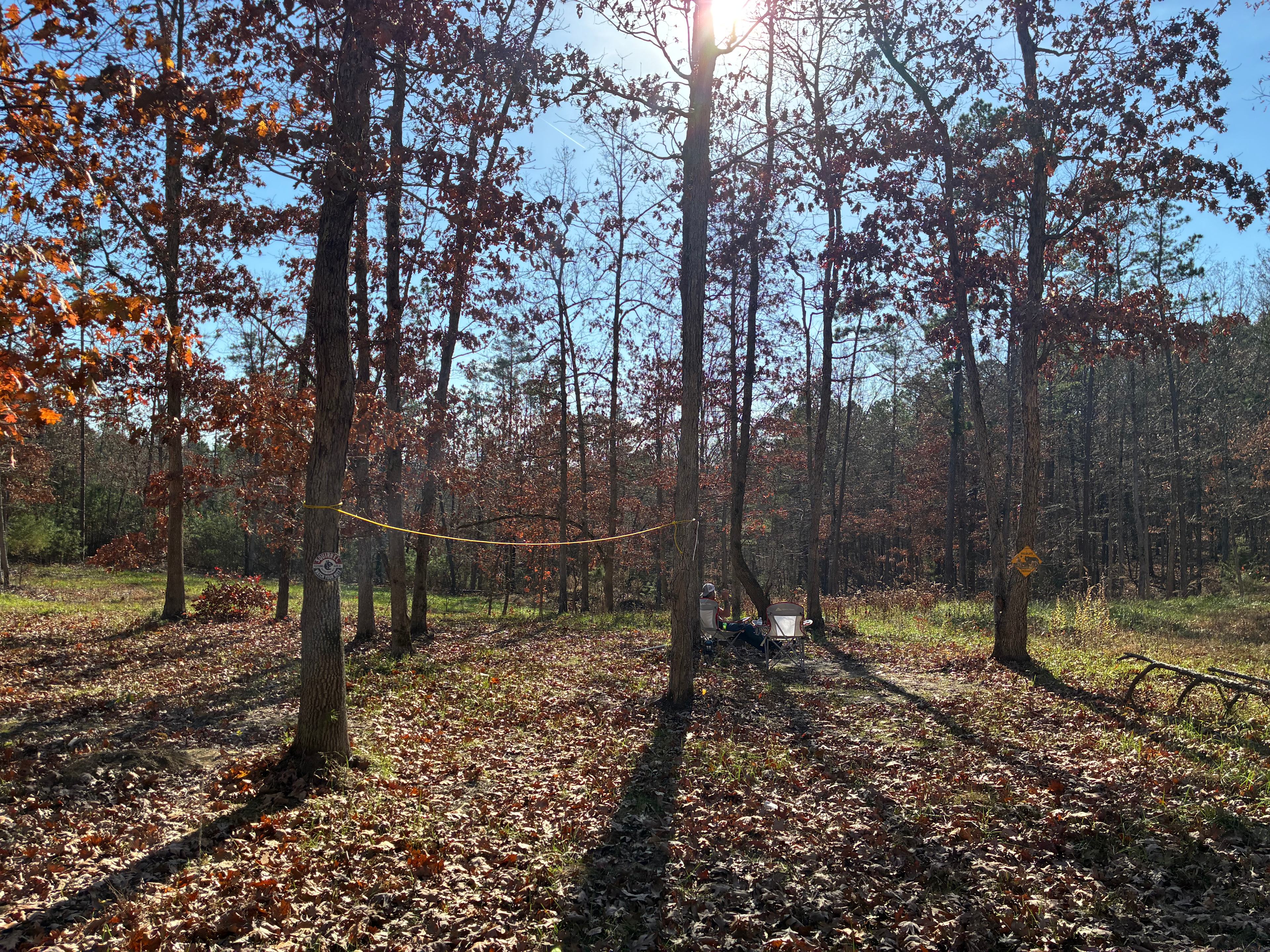 The center area of the site