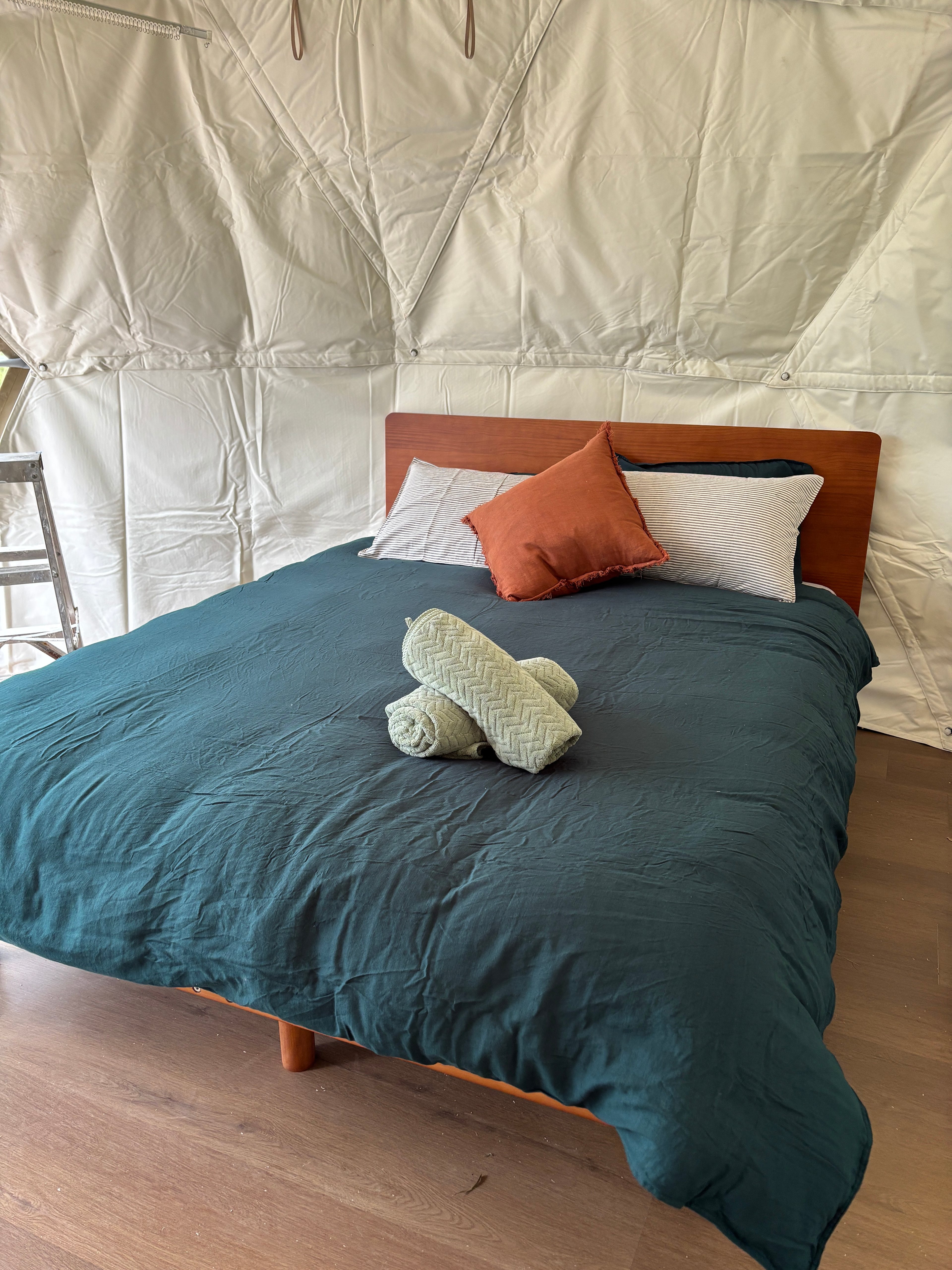 Glamping Around An Ancient Tree